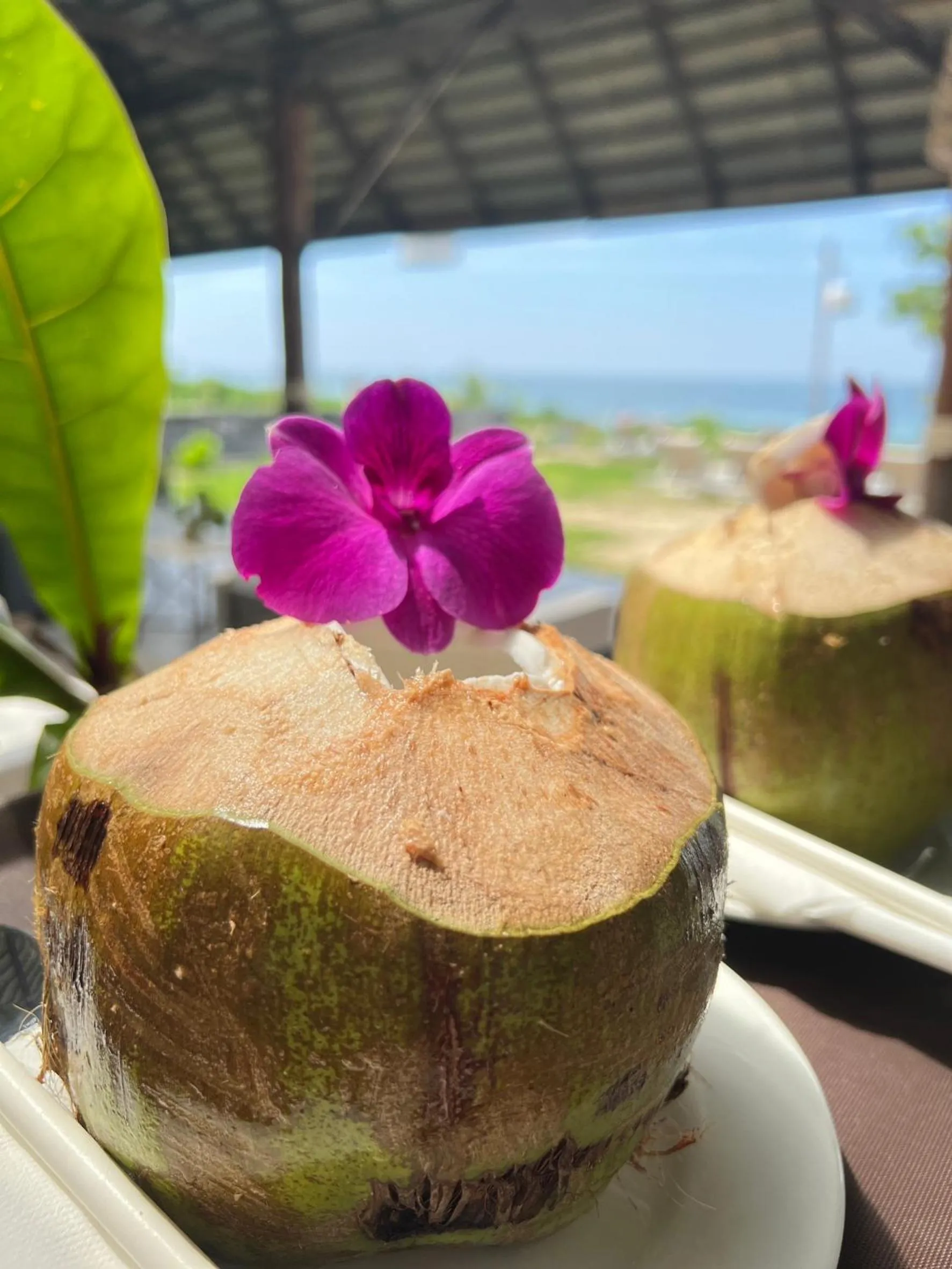 Natural landscape in SriLanta Resort and Spa