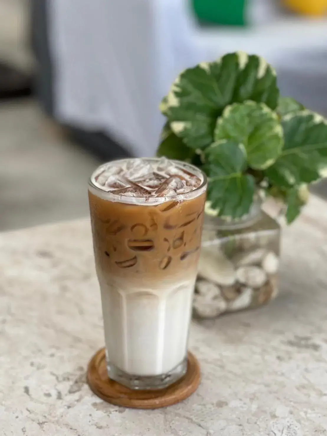 Food and drinks in SriLanta Resort and Spa Food and drinks in SriLanta Resort and Spa