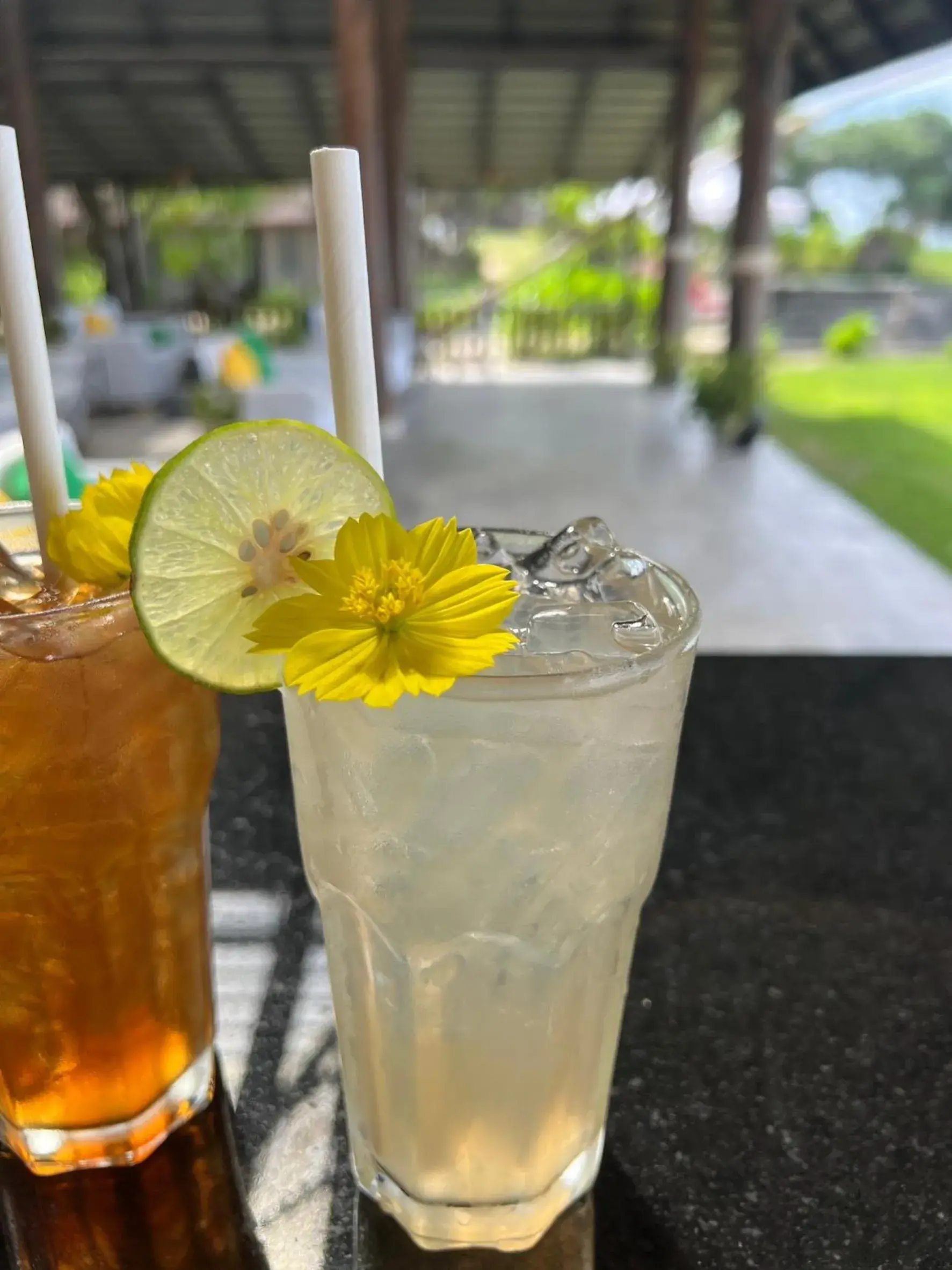 Food and drinks in SriLanta Resort and Spa Food and drinks in SriLanta Resort and Spa