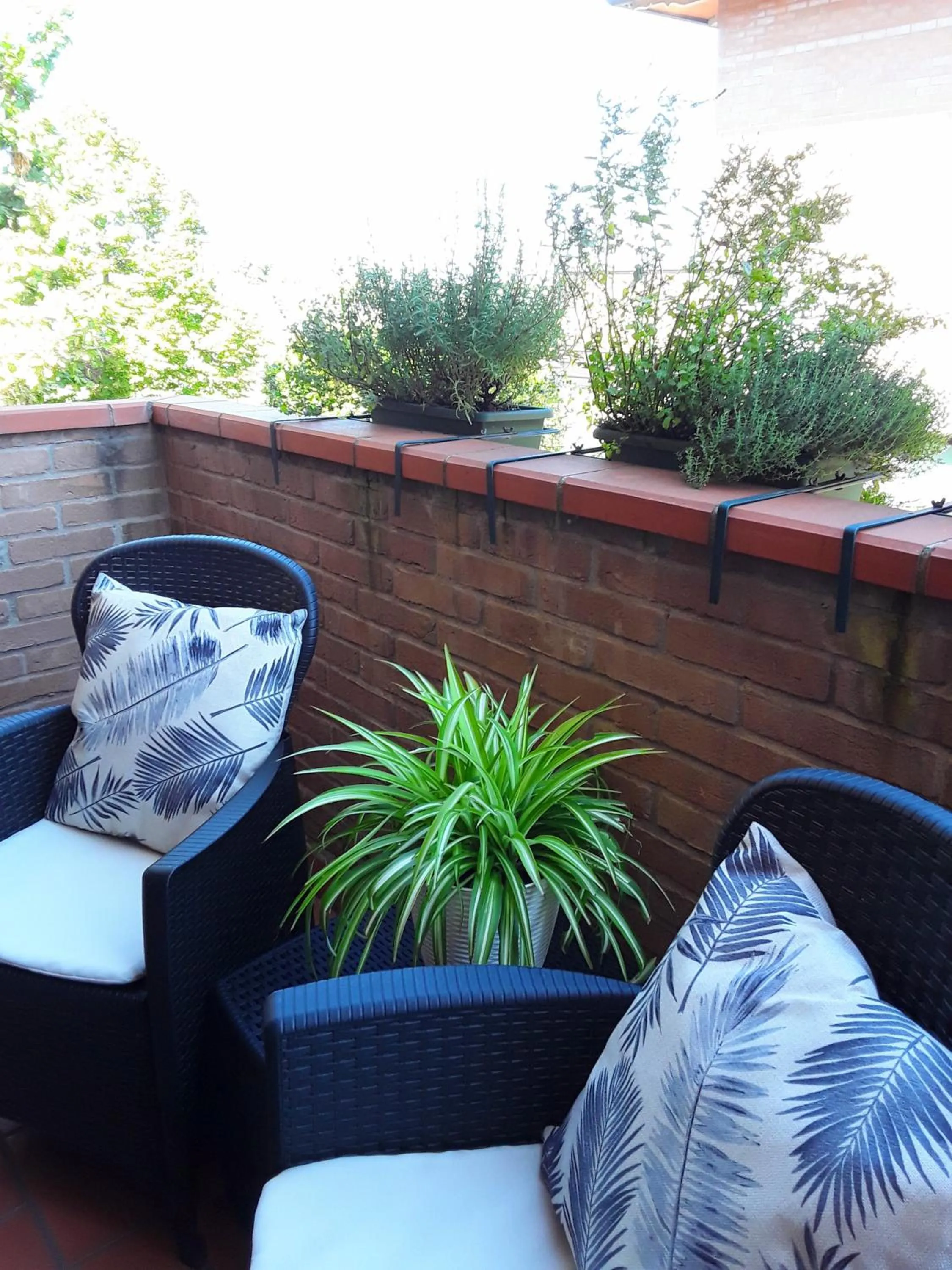 Balcony/Terrace in B&B LA ROSA GIALLA