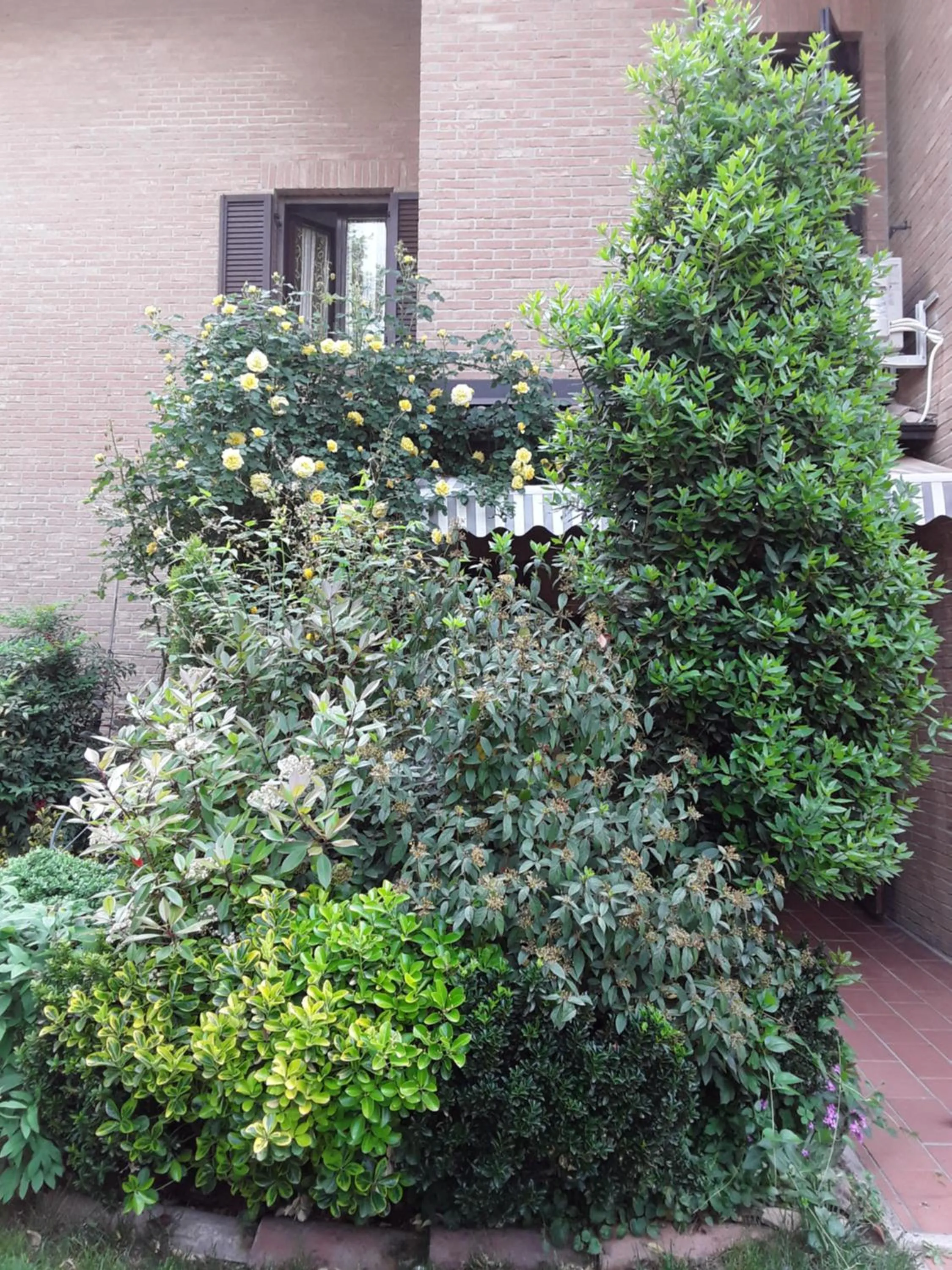 Facade/entrance in B&B LA ROSA GIALLA