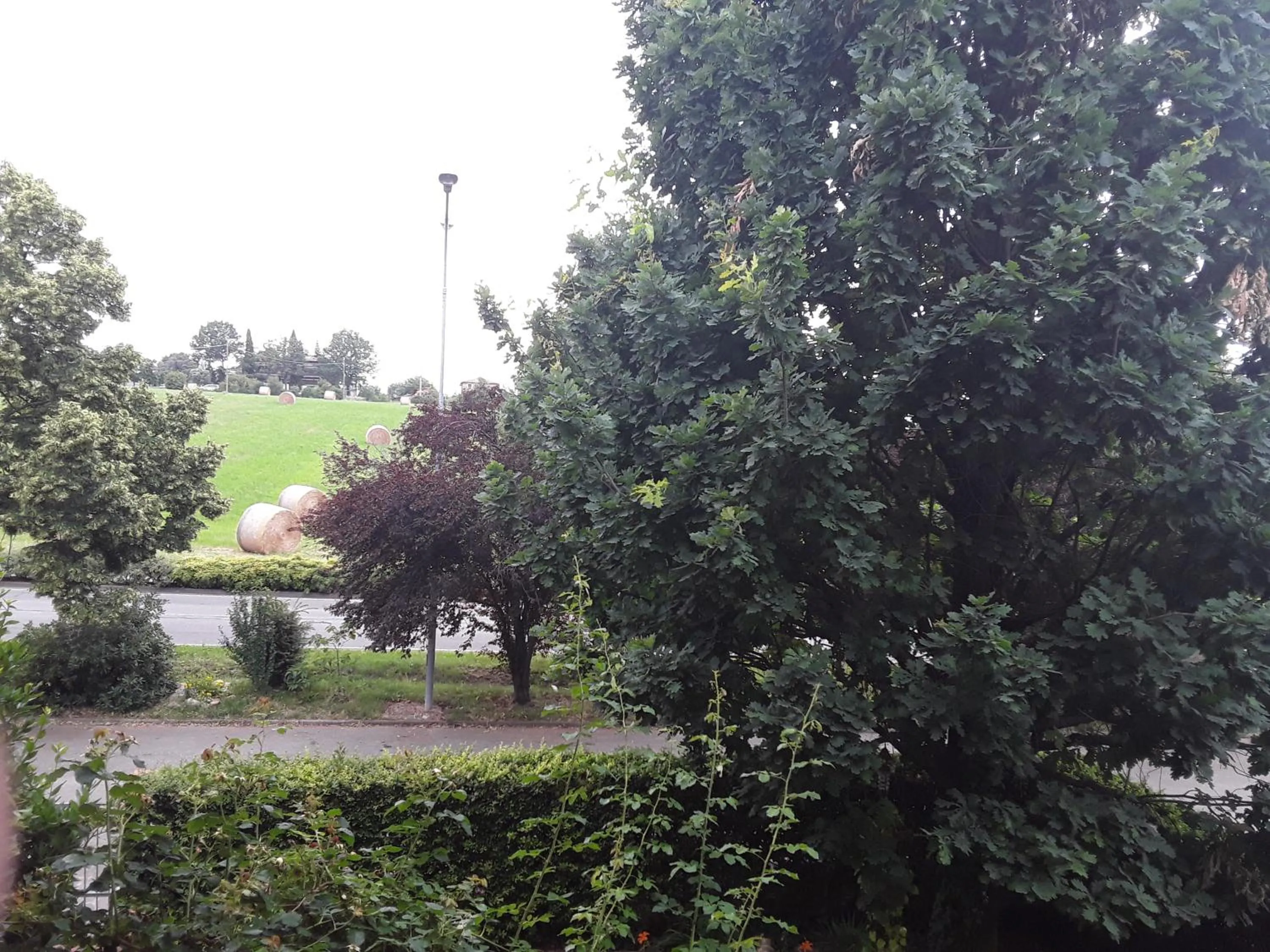 Quiet street view in B&B LA ROSA GIALLA