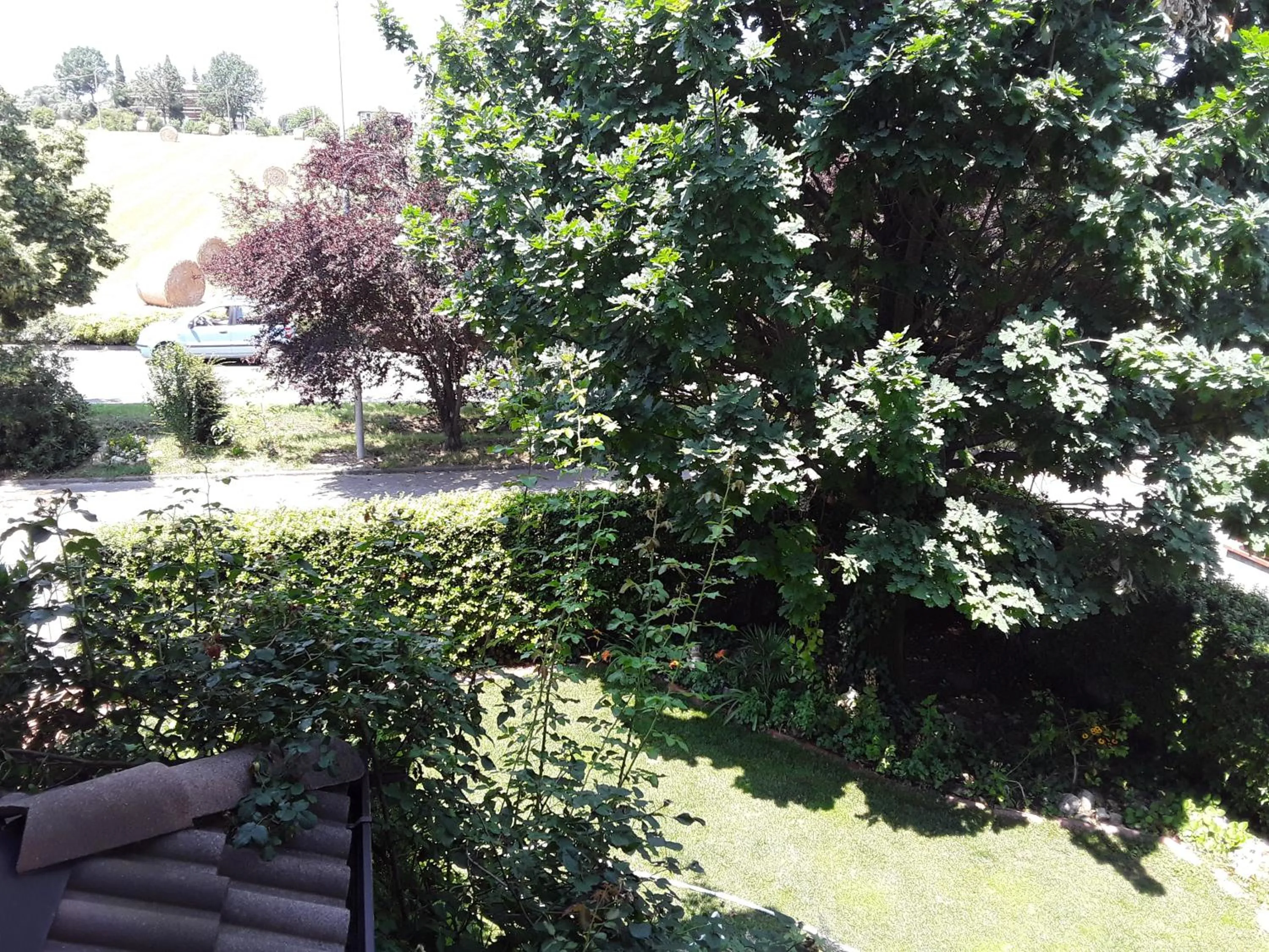 Garden view in B&B LA ROSA GIALLA