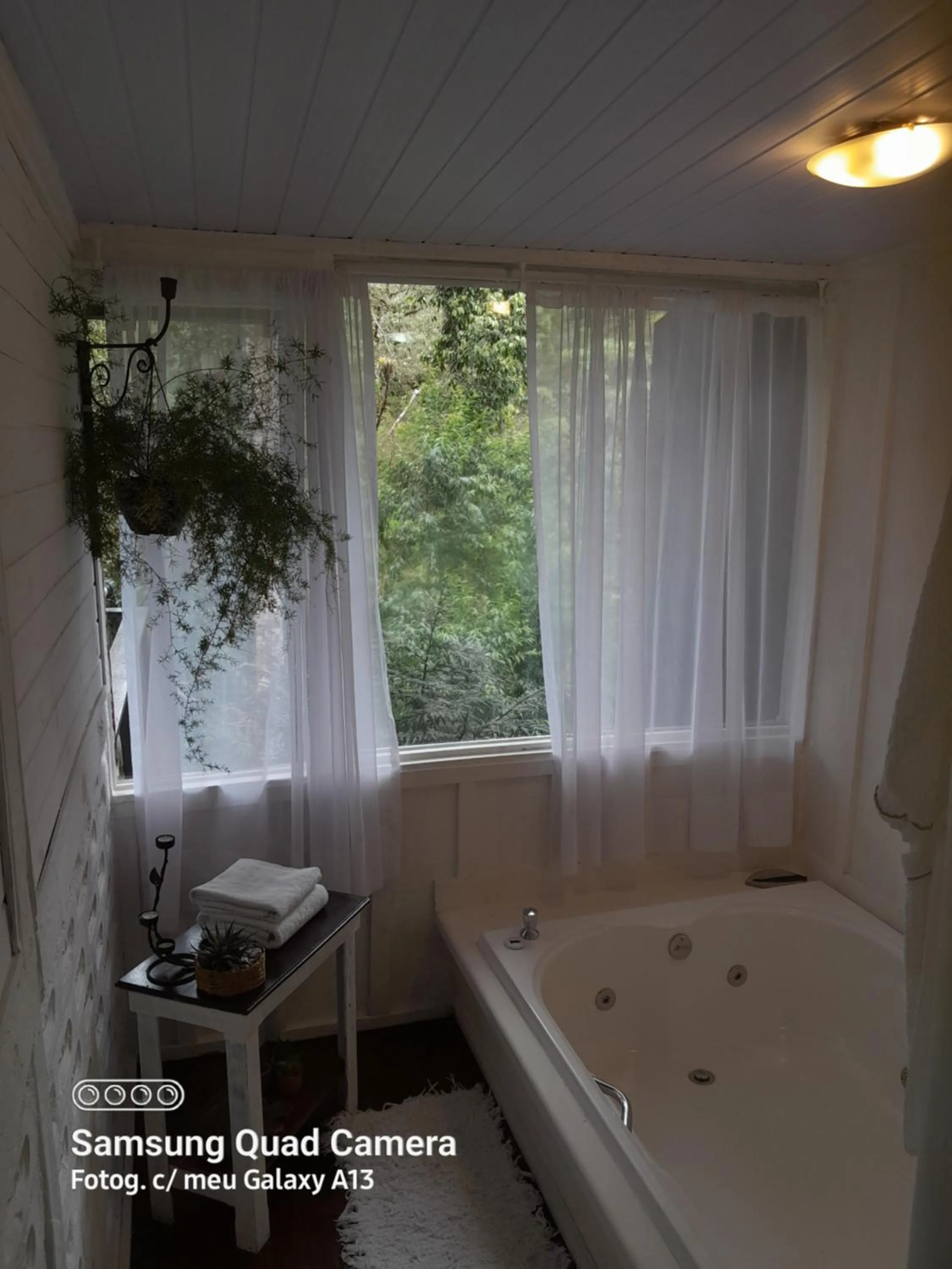 Natural landscape in Chalé Rustic House