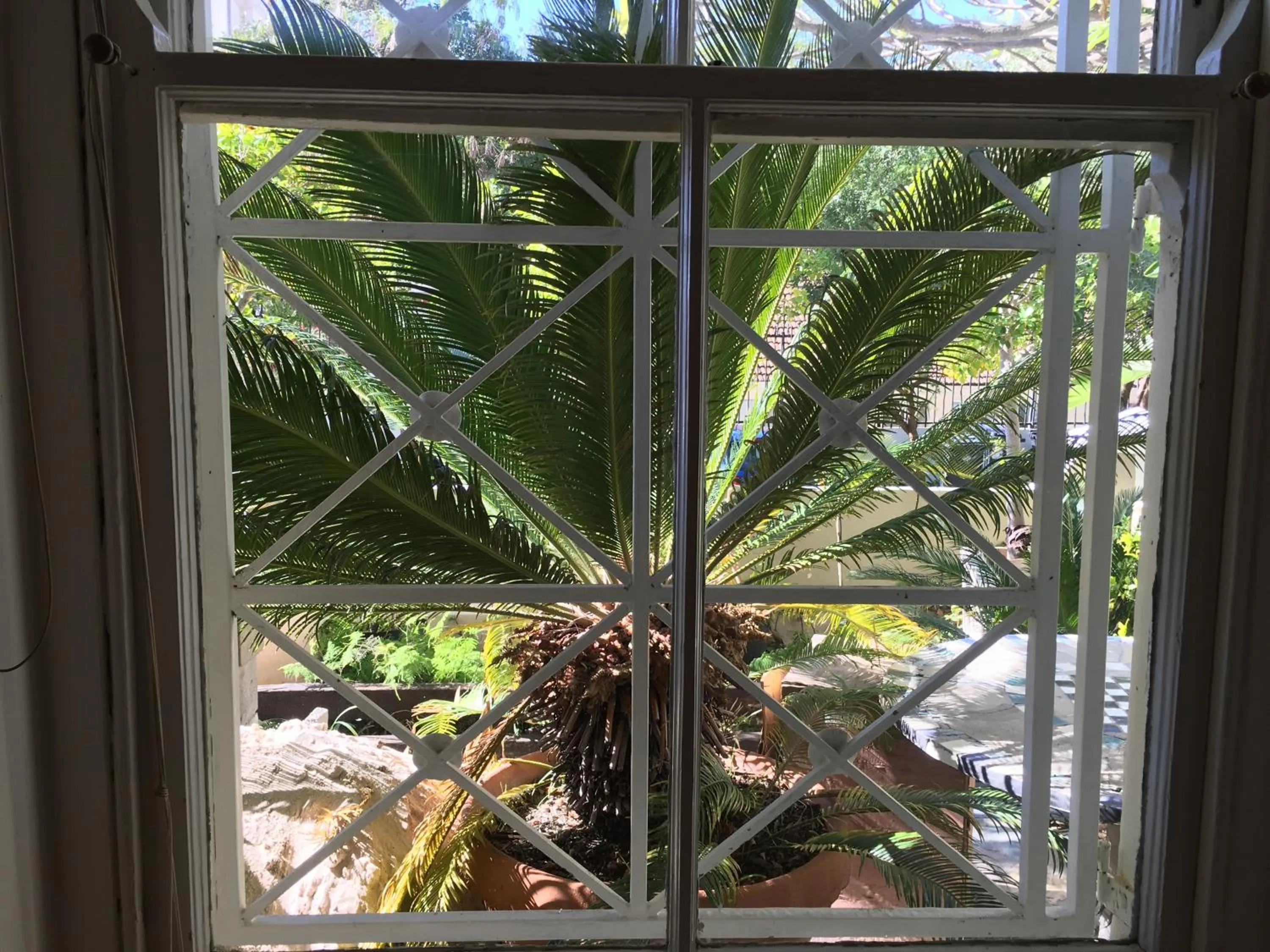 Day in Gordons Guesthouse