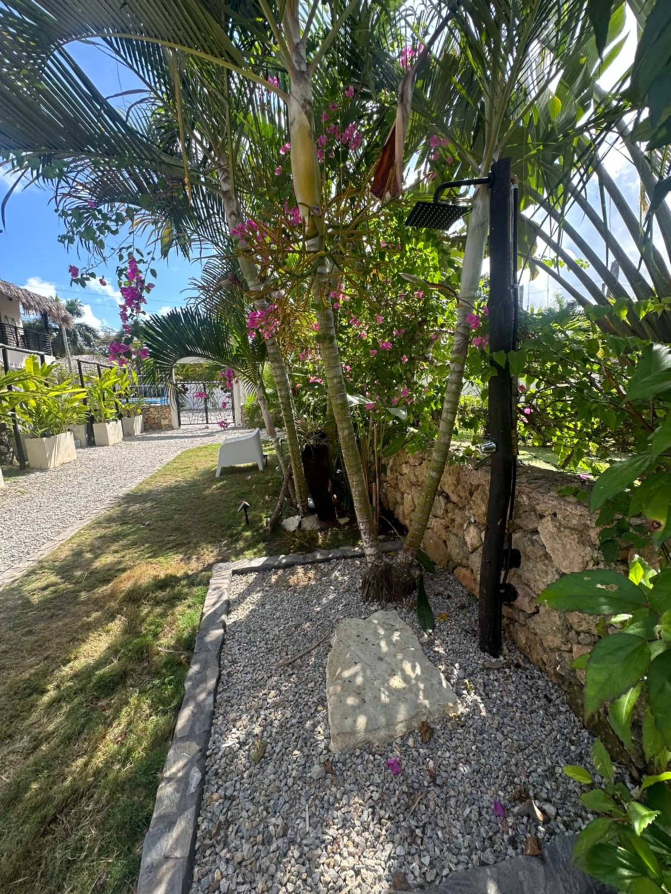 Garden in El Rincon de Abi
