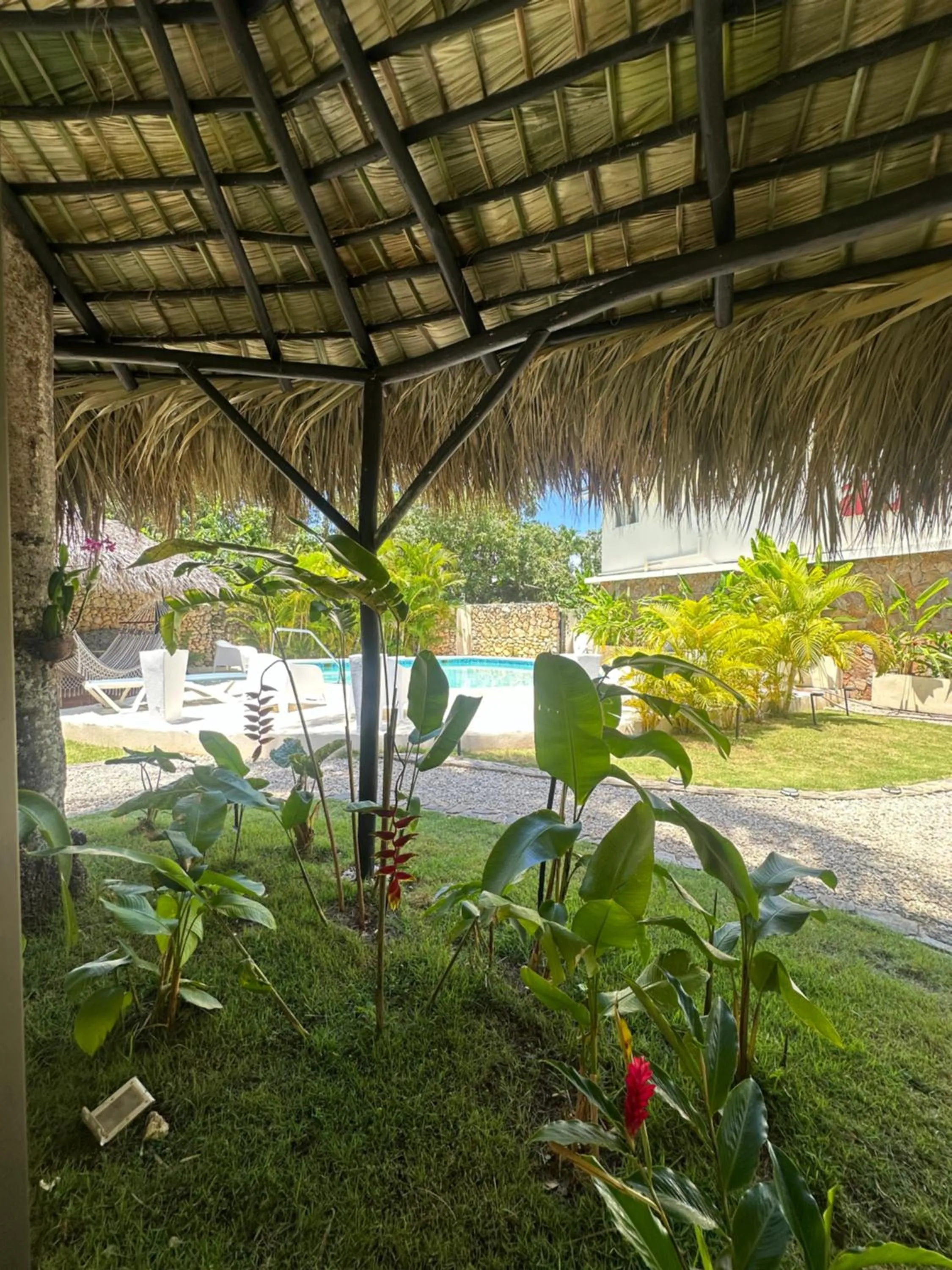 Pool view in El Rincon de Abi