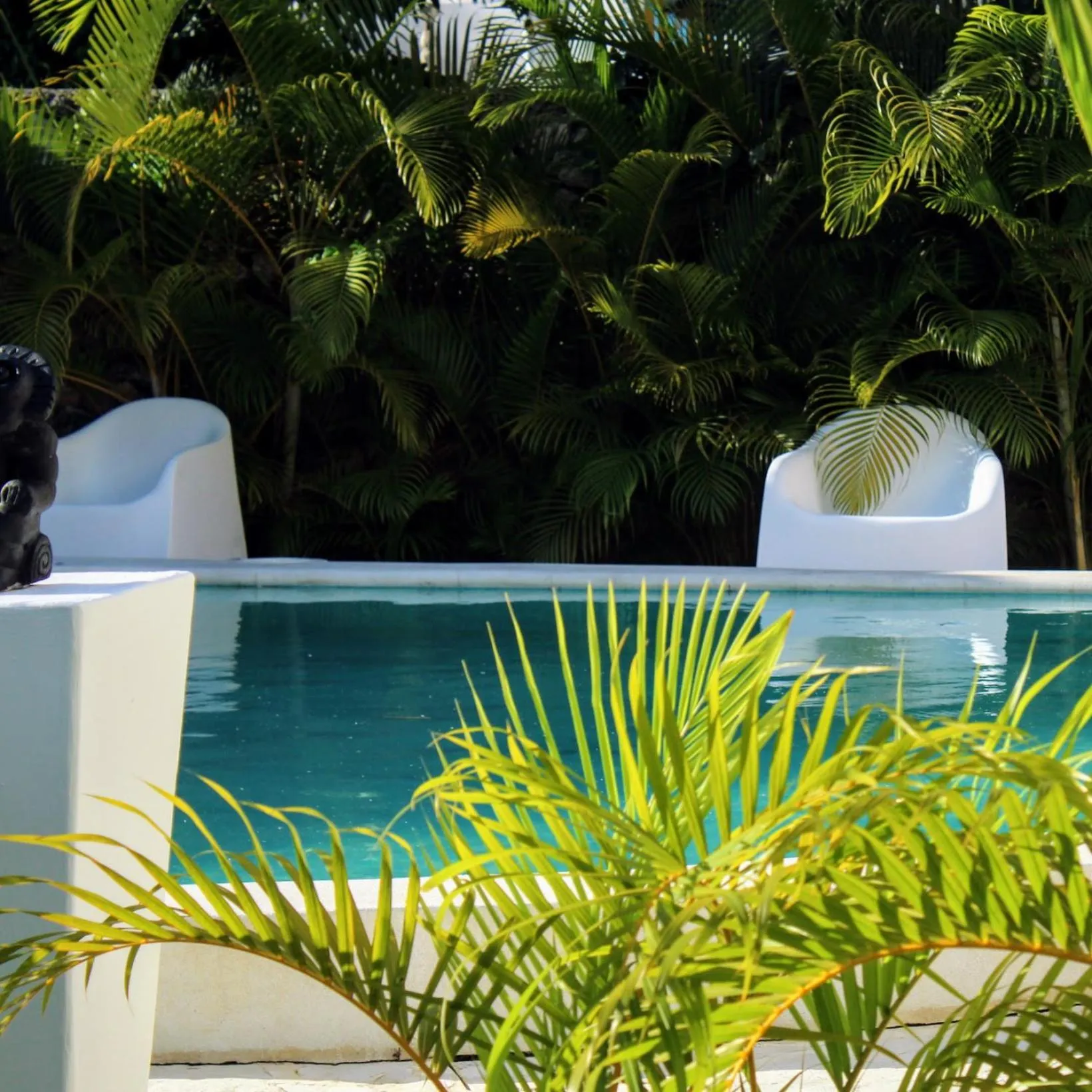 Garden in El Rincon de Abi