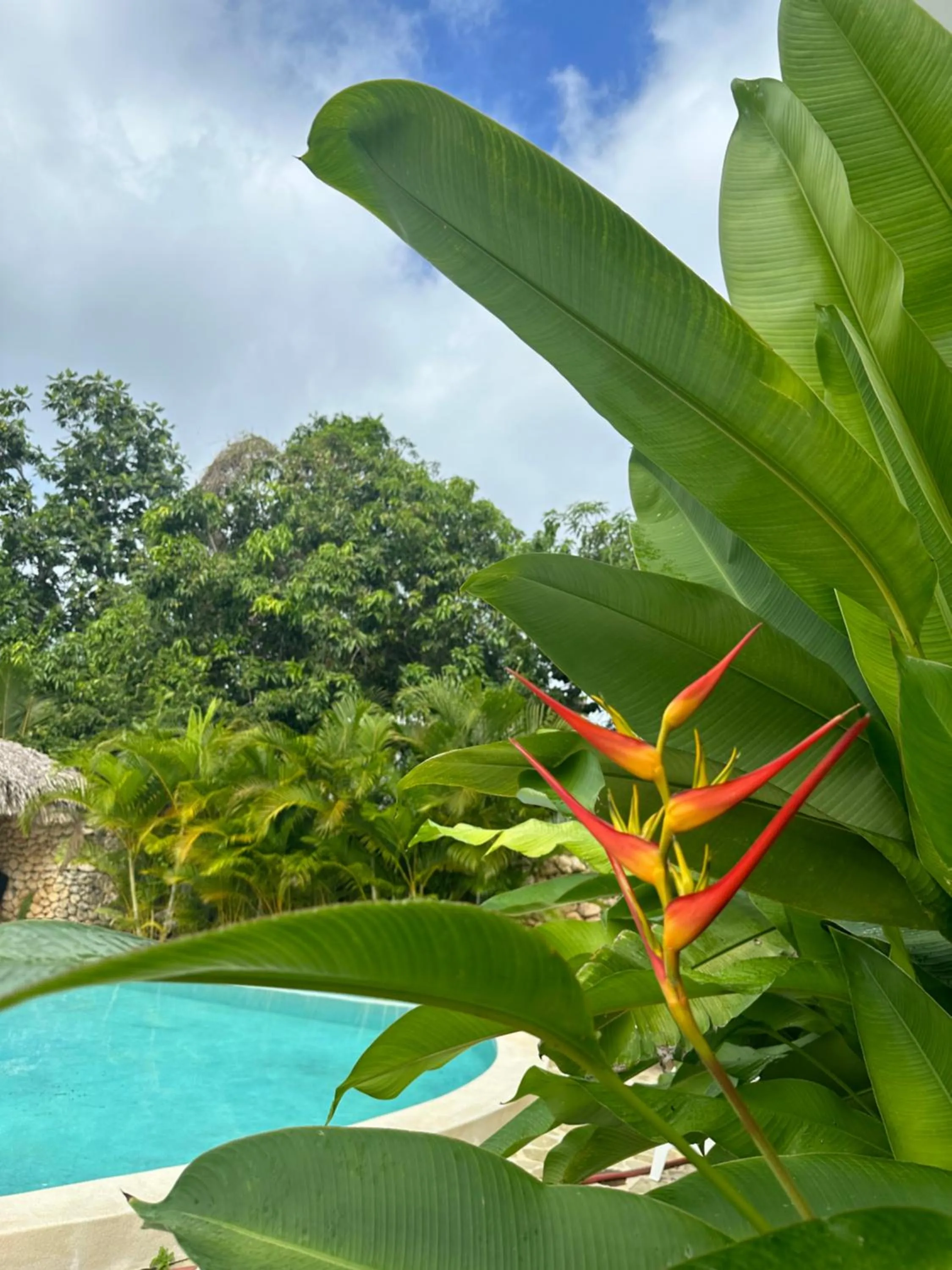 Day in El Rincon de Abi