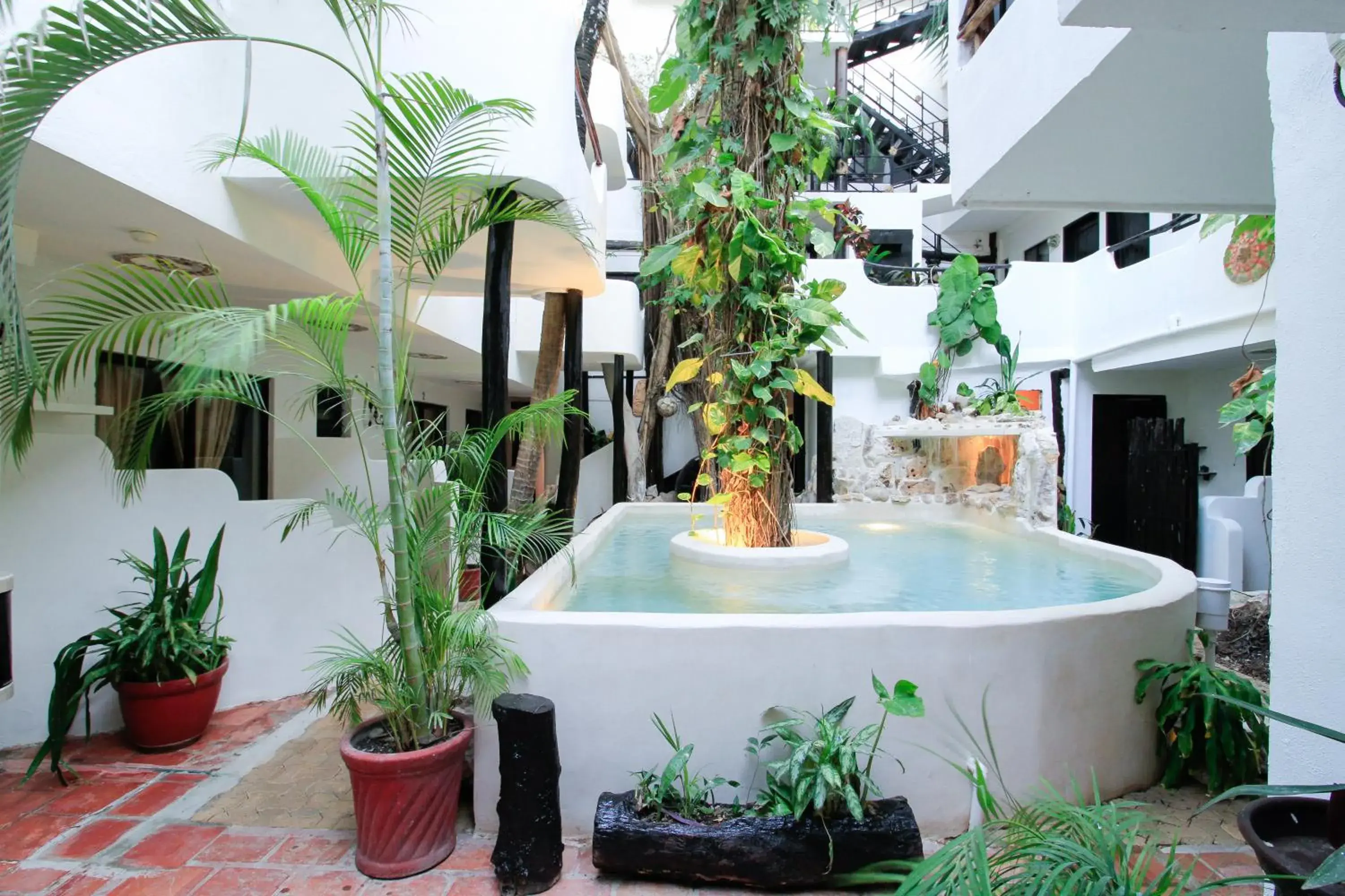 Swimming pool in Moonshine Hotel Swimming pool in Moonshine Hotel