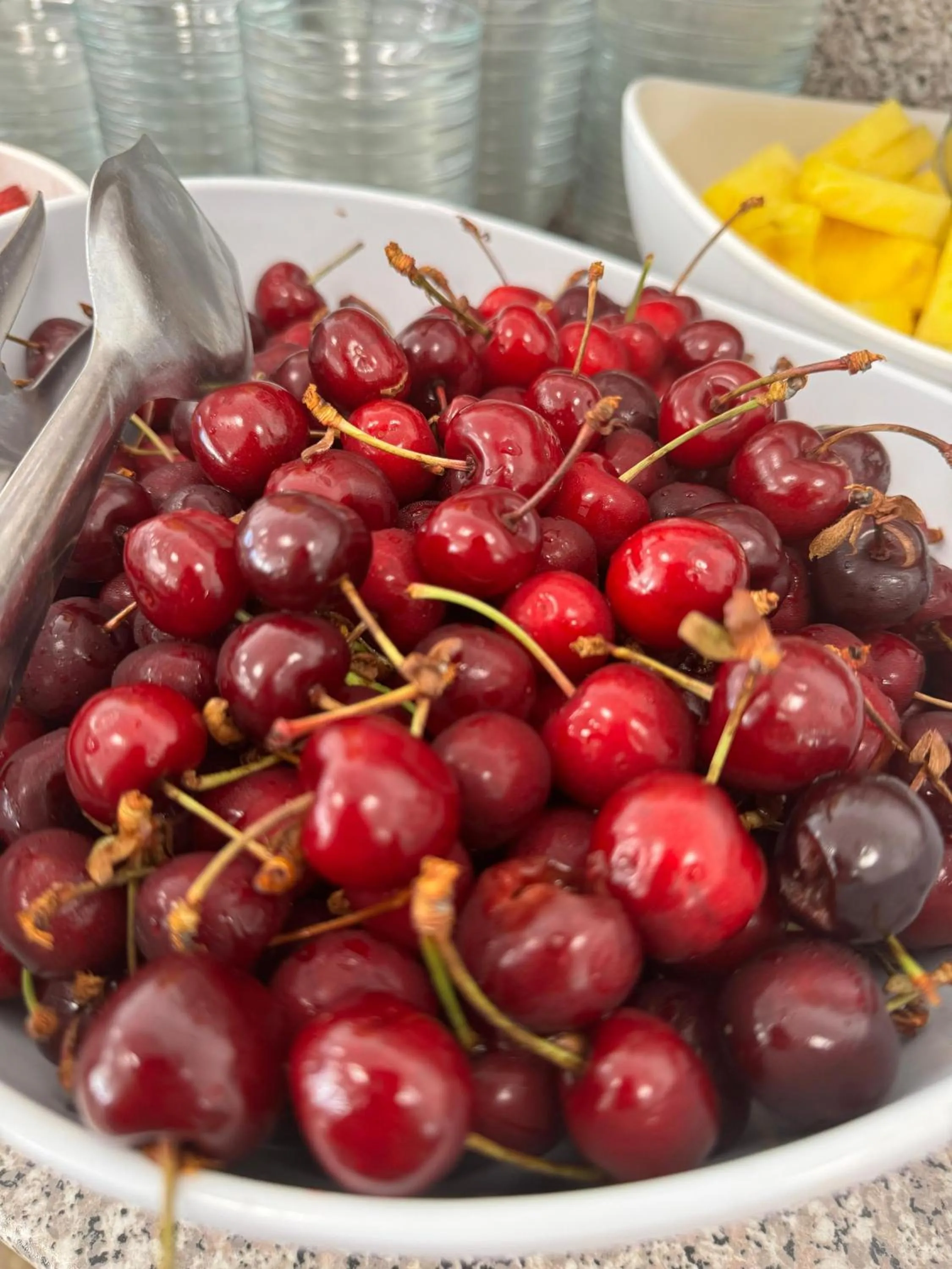 Restaurant/places to eat in Hotel Laika