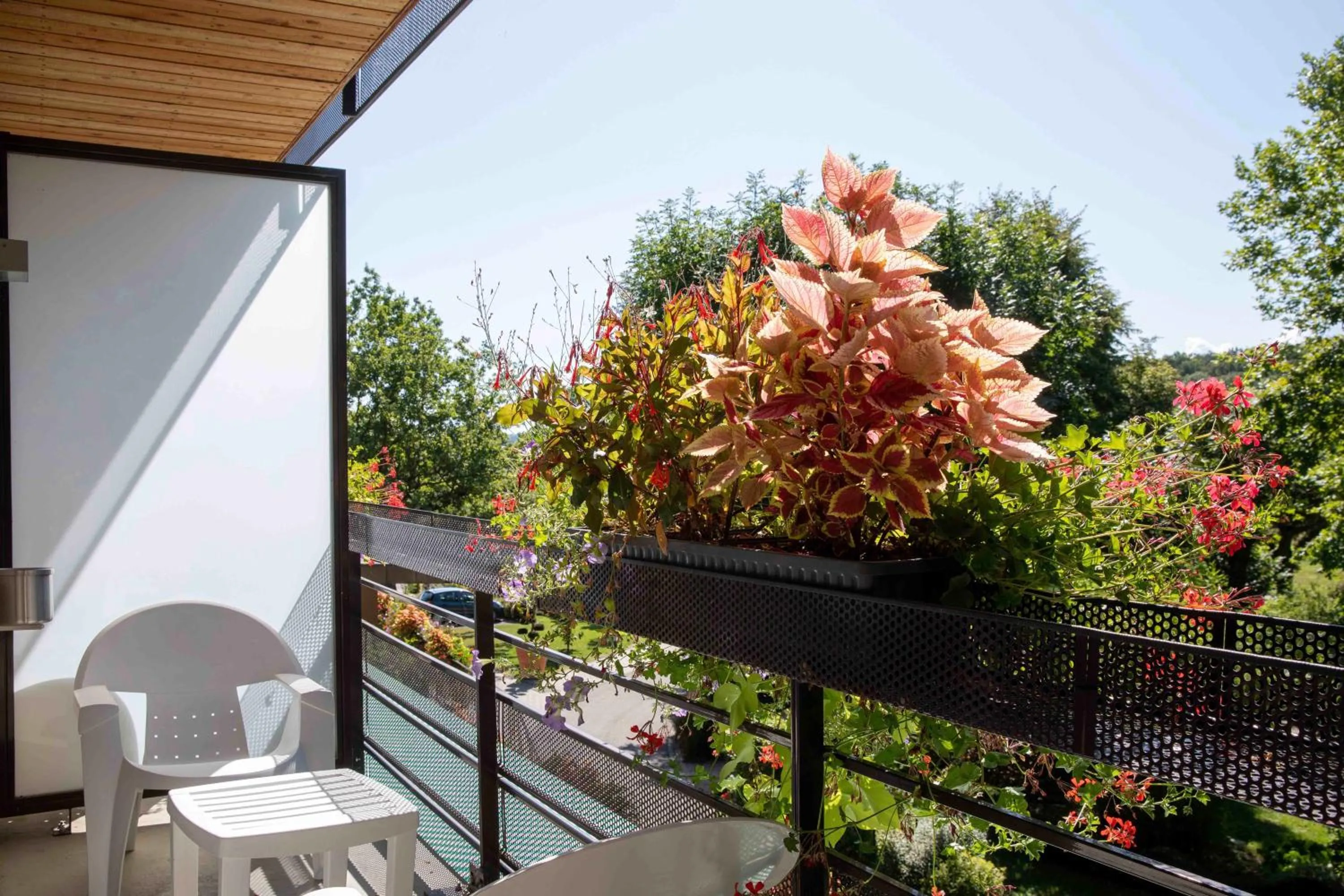 Balcony/Terrace in Hôtel Restaurant Logis Auberge Sundgovienne