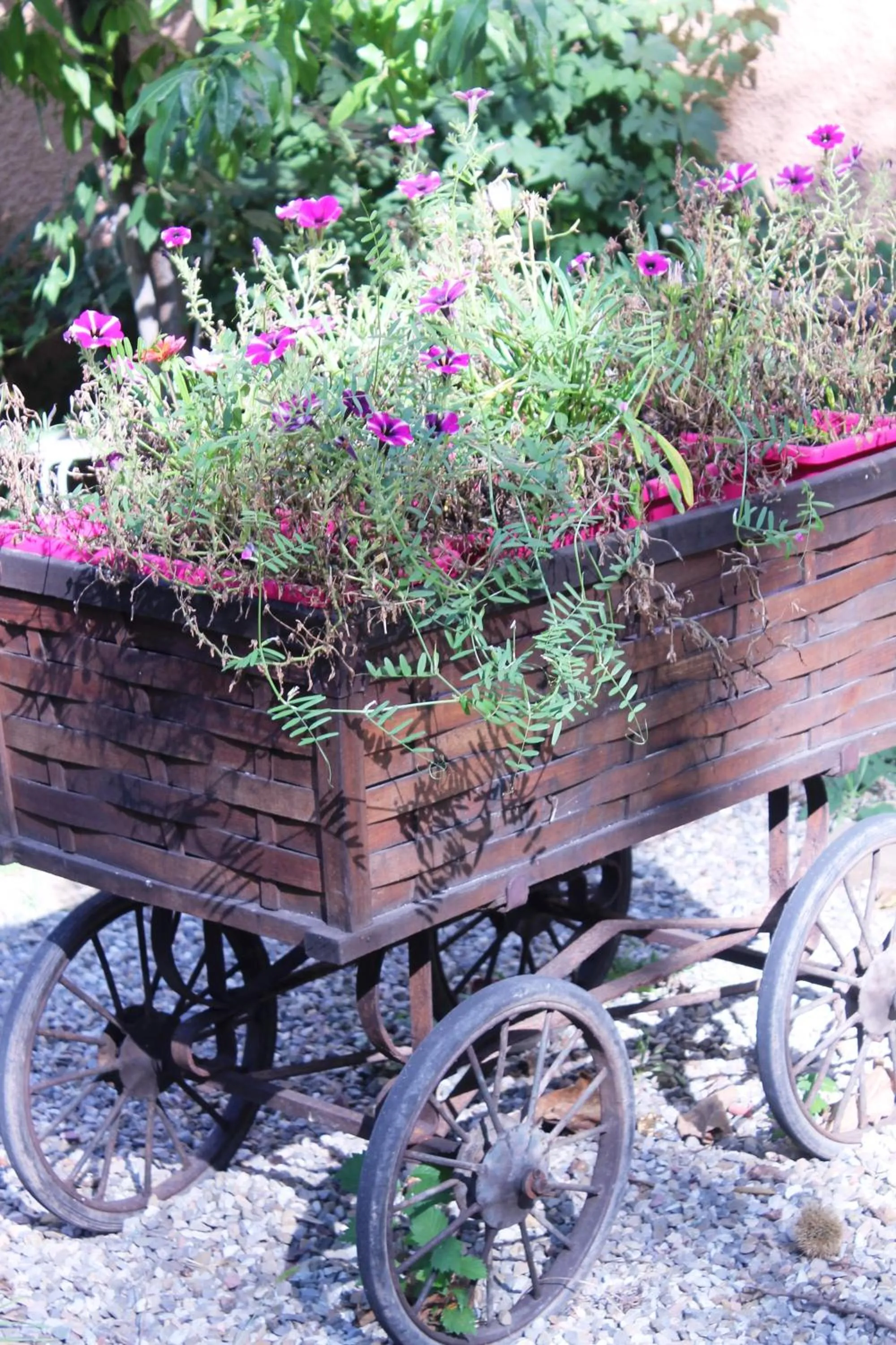 Garden in Aux Berges de la Thur