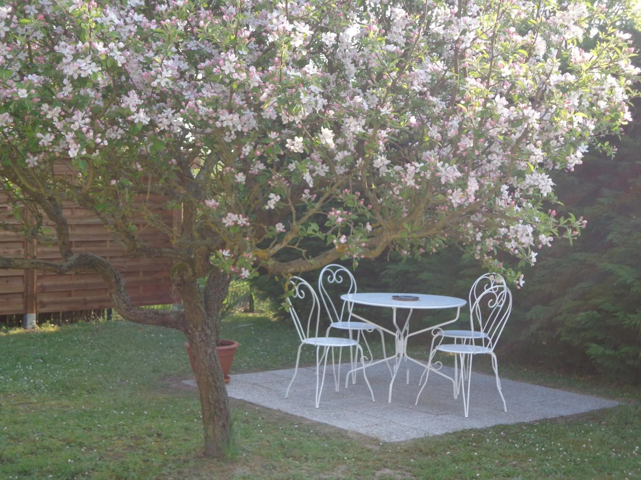 Patio in La Grille Dorée