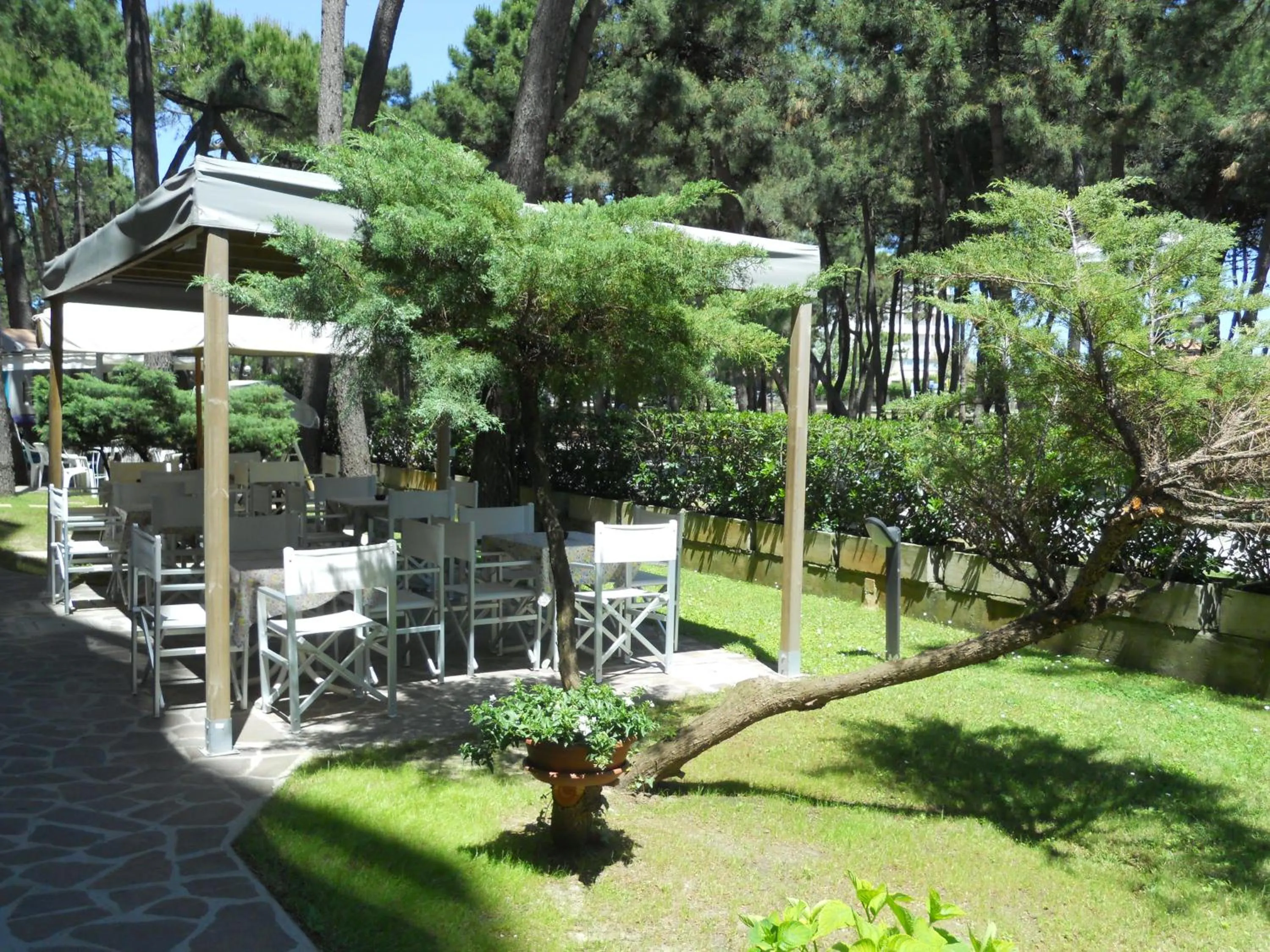 Garden in Hotel Sahara