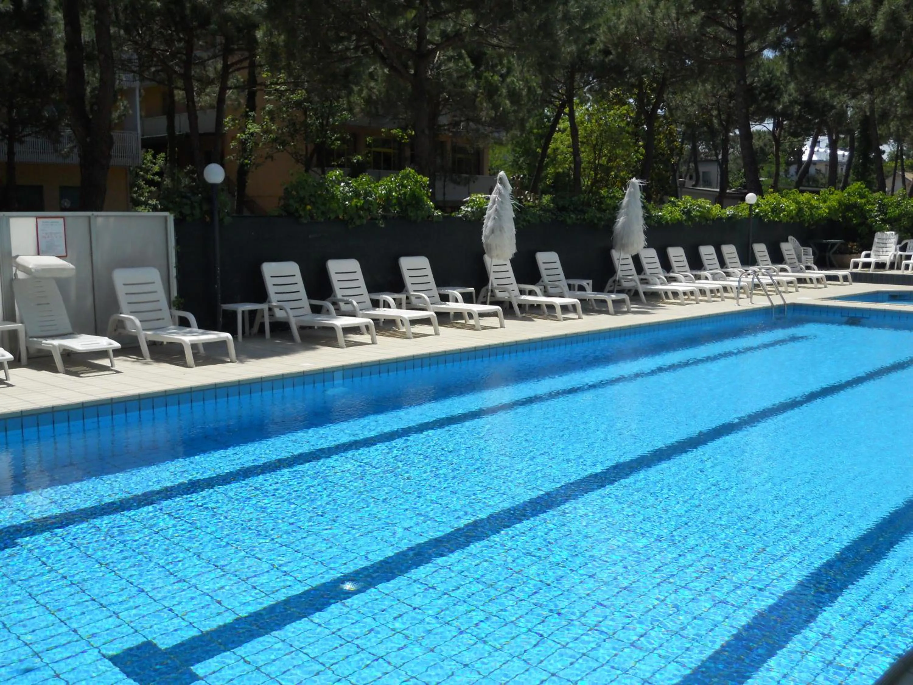 Swimming pool in Hotel Sahara
