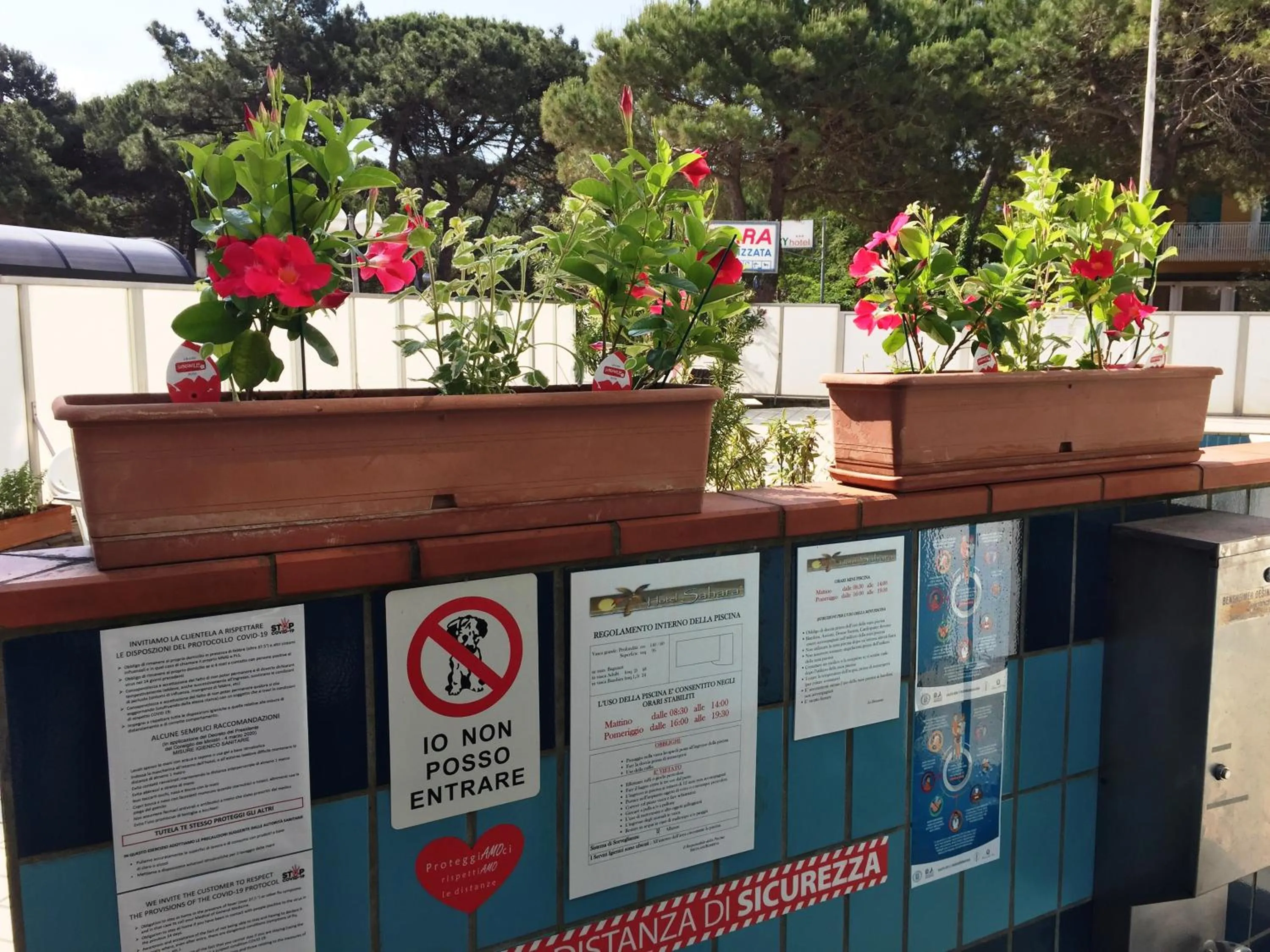 Swimming pool in Hotel Sahara