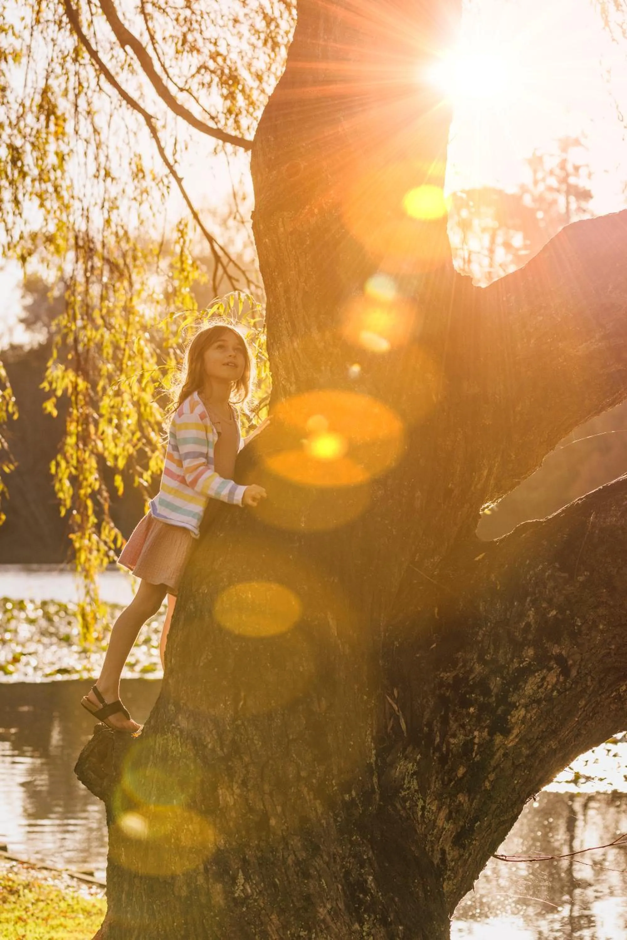 Garden view in Hidden Lake Hotel & Apartments