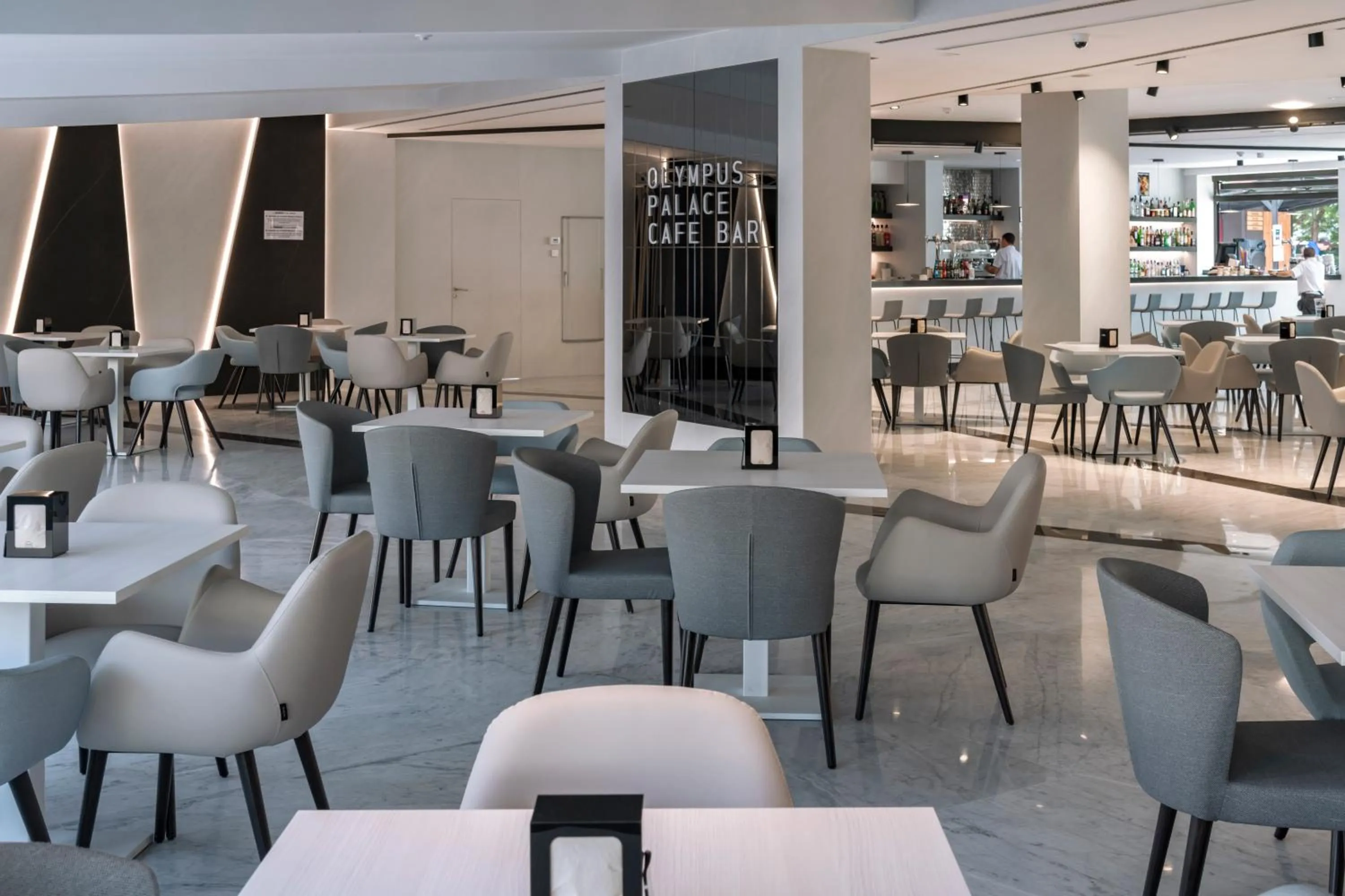 Lounge or bar in Hotel Olympus Palace