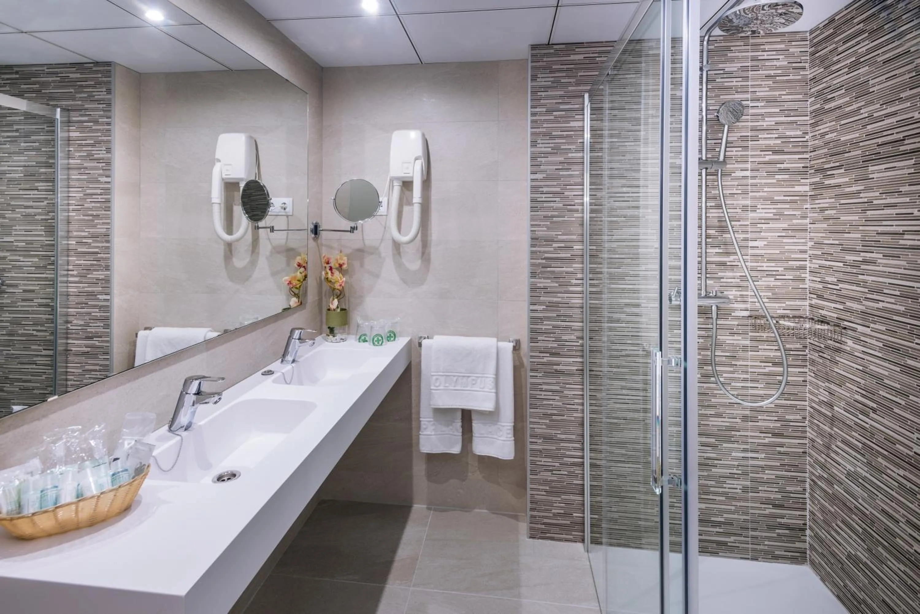 Shower in Hotel Olympus Palace