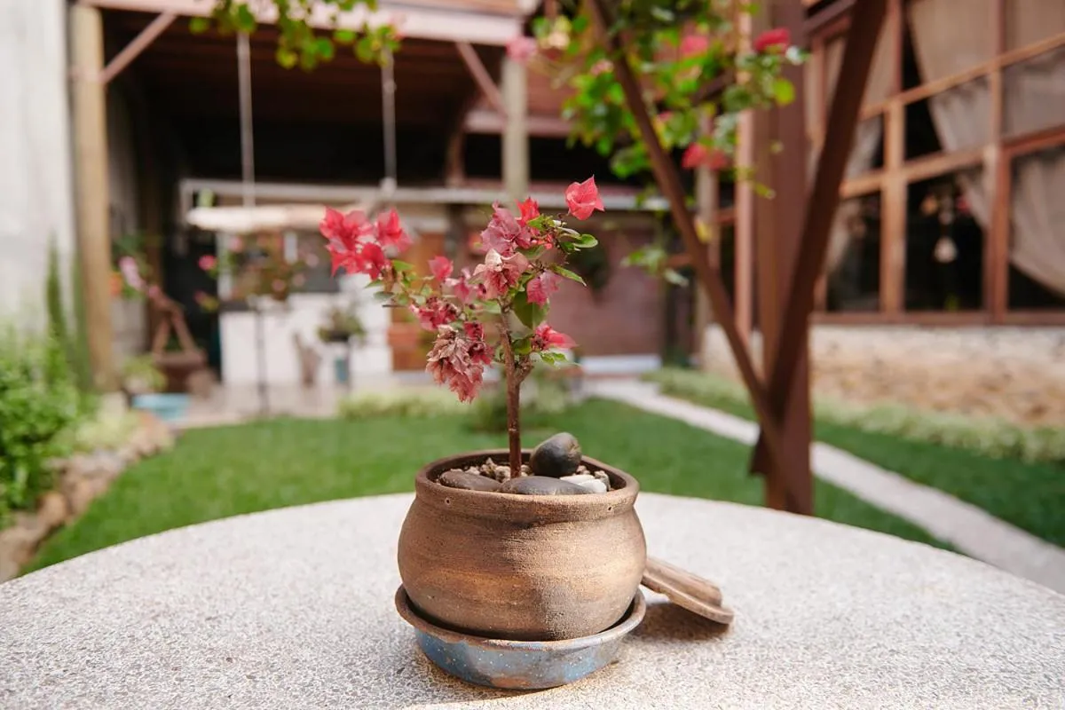 Garden in Dai Nonni Hotel