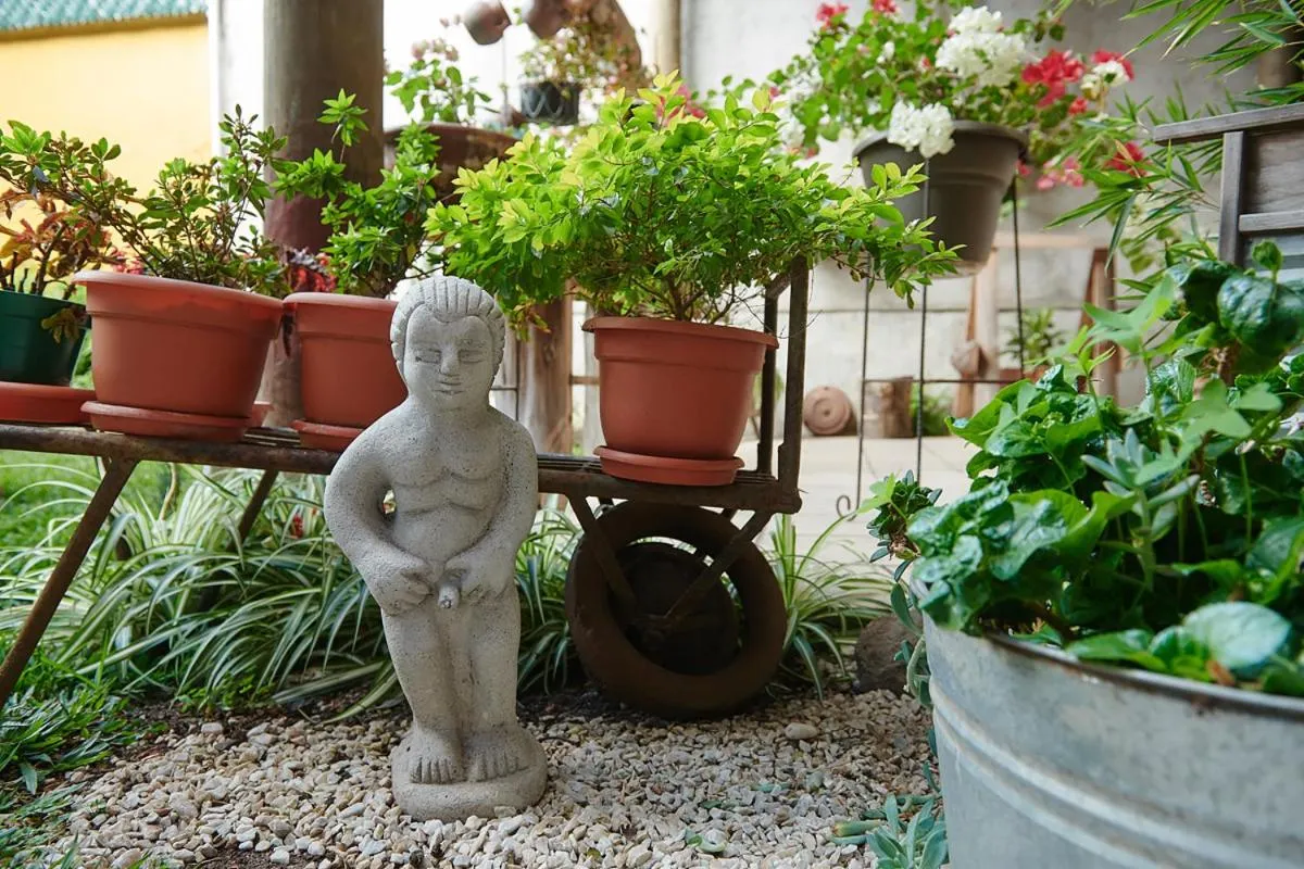 Garden in Dai Nonni Hotel