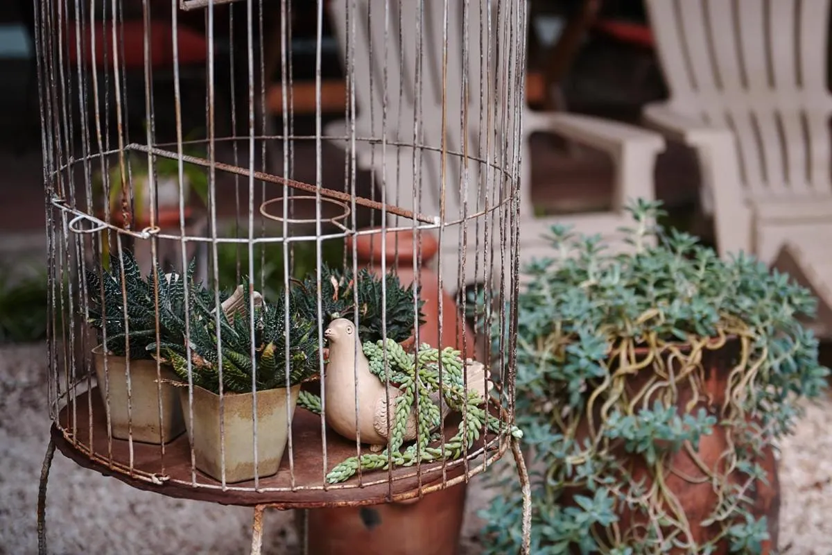 Decorative detail in Dai Nonni Hotel