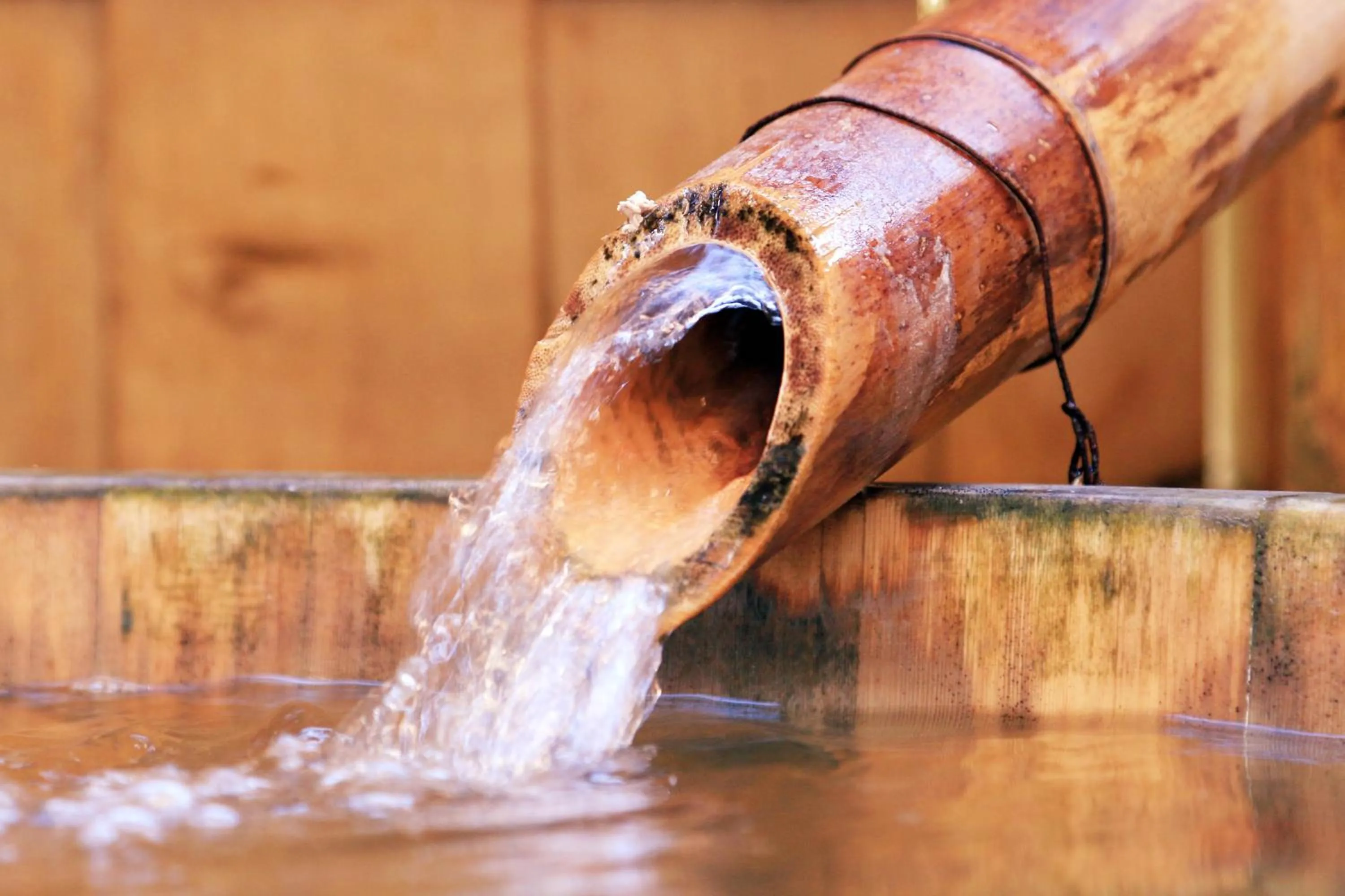 Hot Spring Bath in Yanagiya