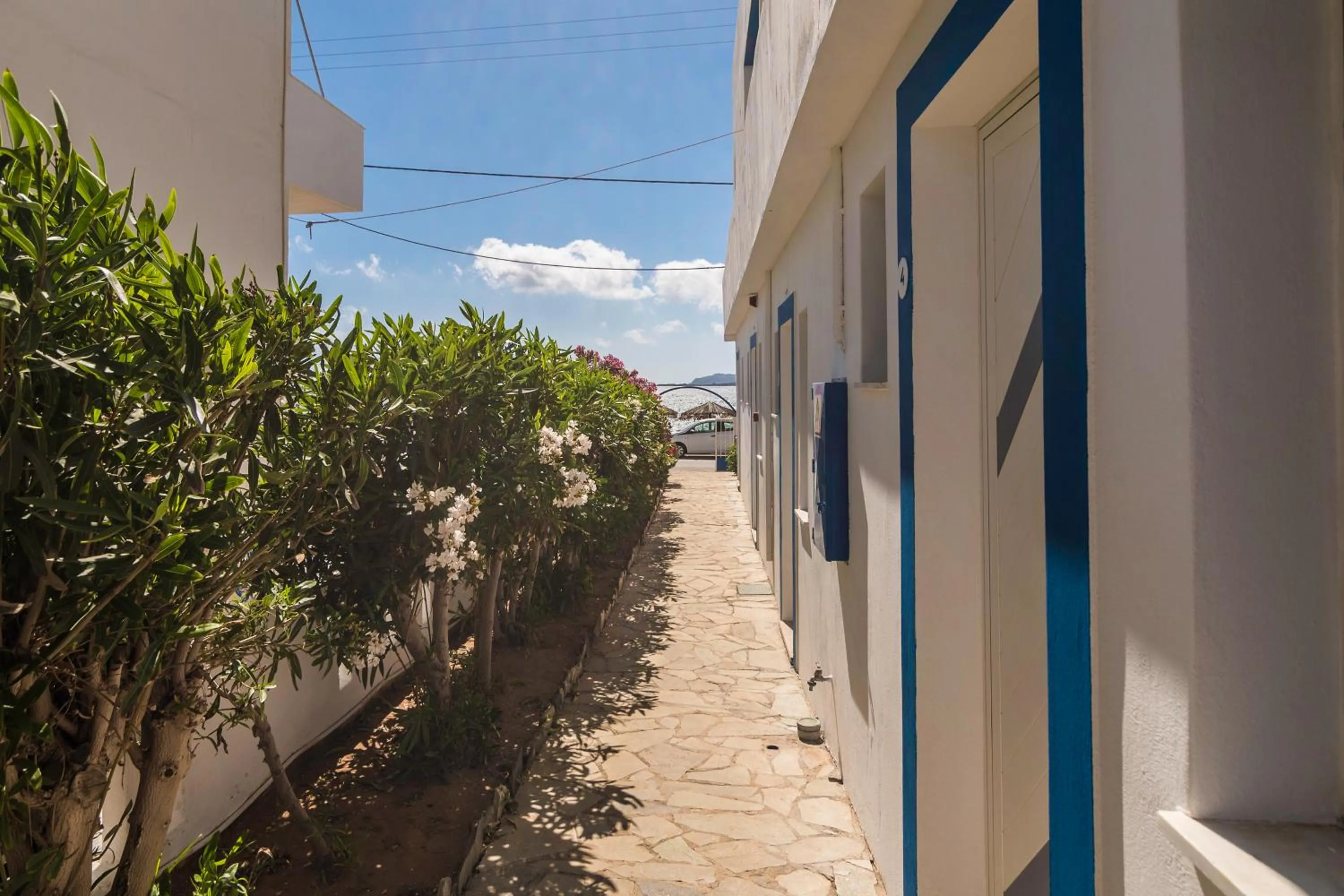 Other in Sifis Studios