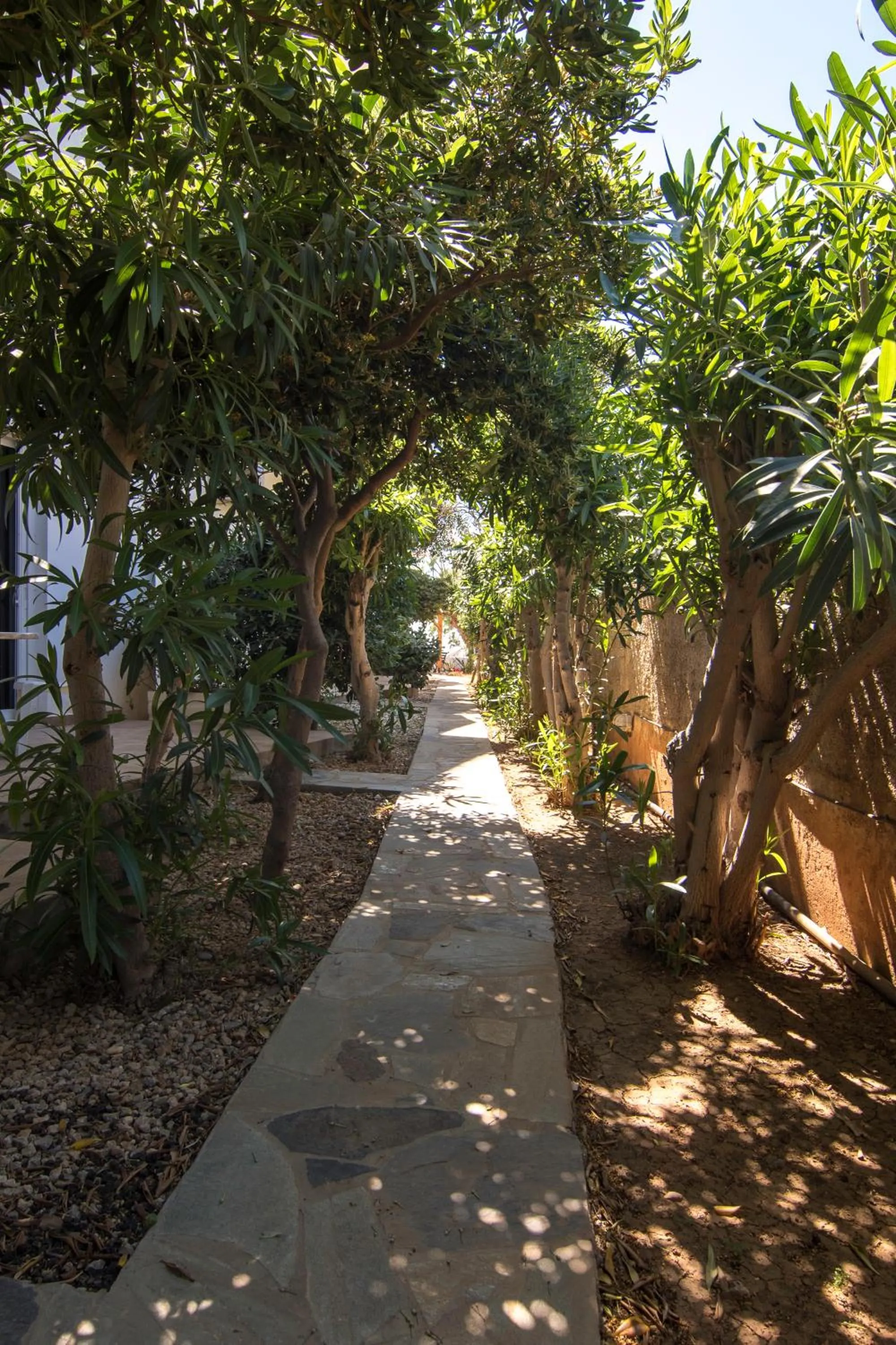 Garden view in Sifis Studios