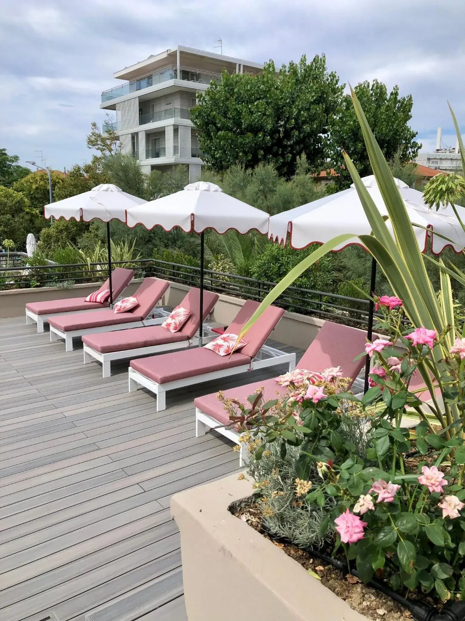 Pool view in Charlie in Pesaro Pool view in Charlie in Pesaro