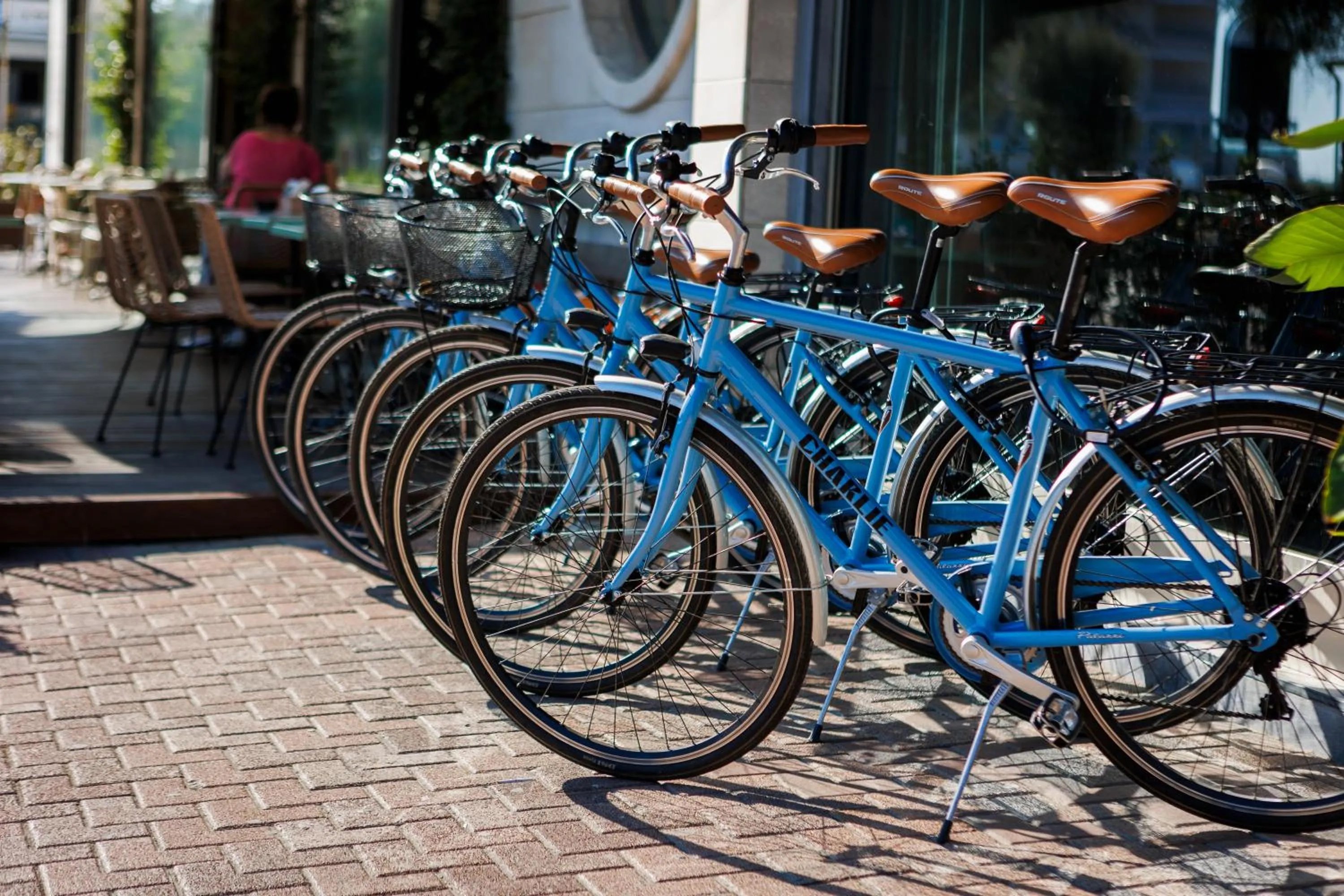 Day in Charlie in Pesaro