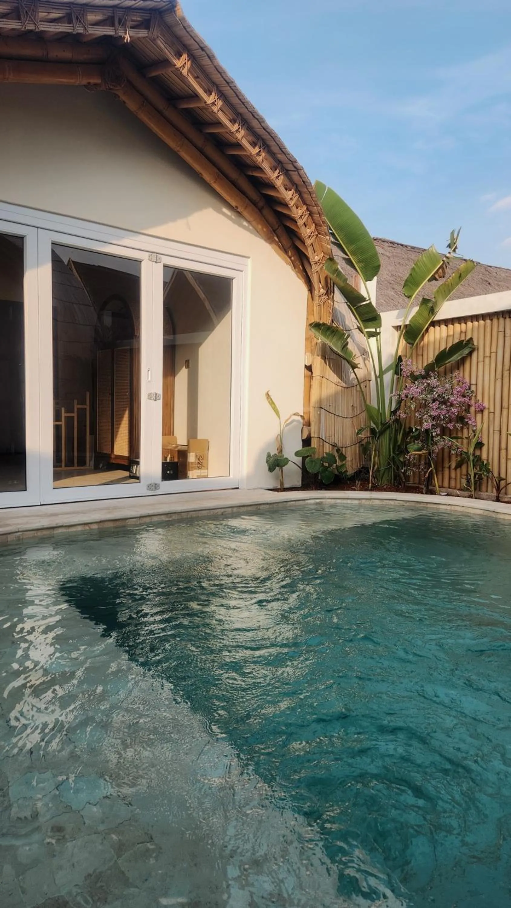 Tipsea Turtle Gili Air