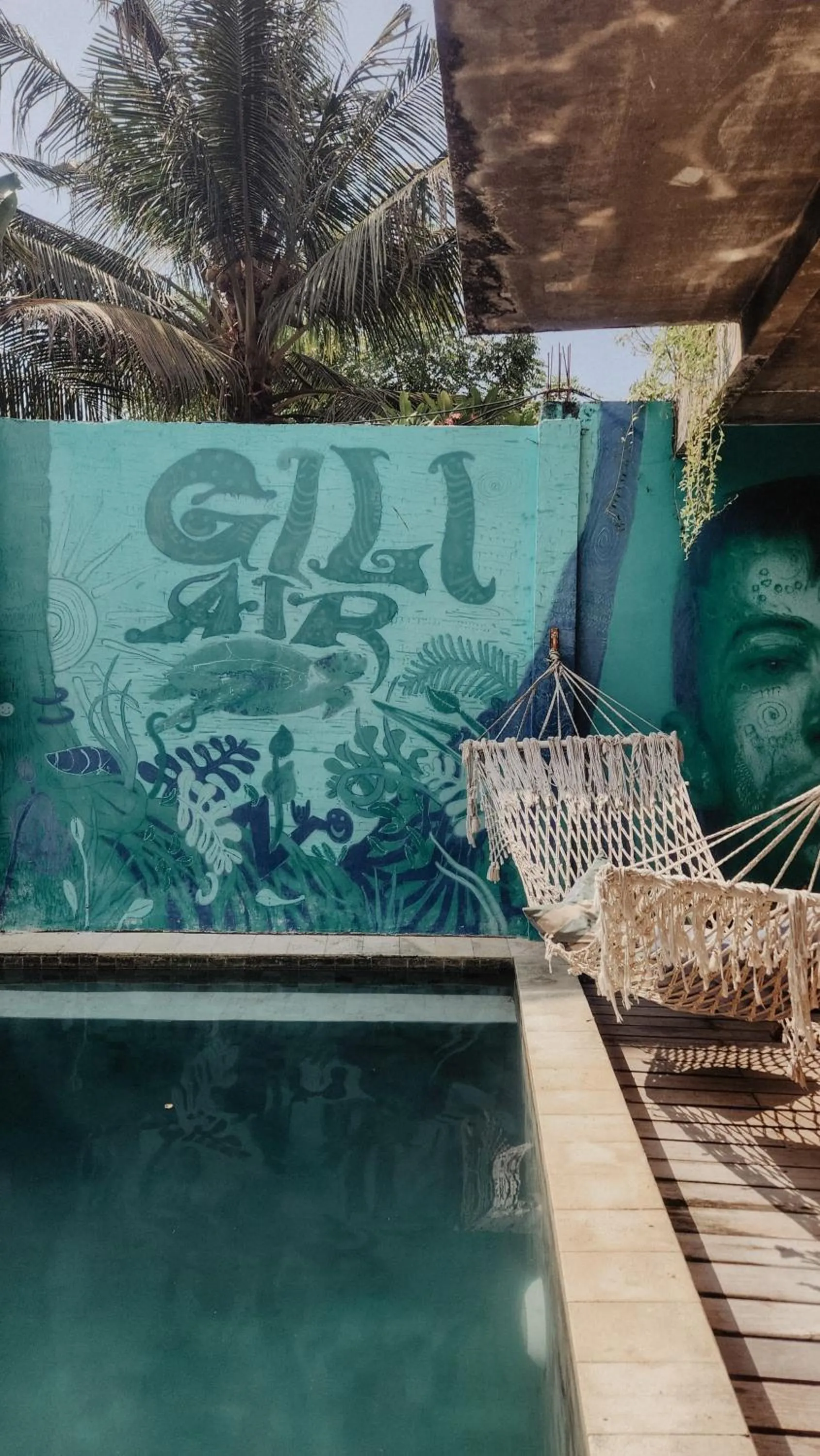 Tipsea Turtle Gili Air