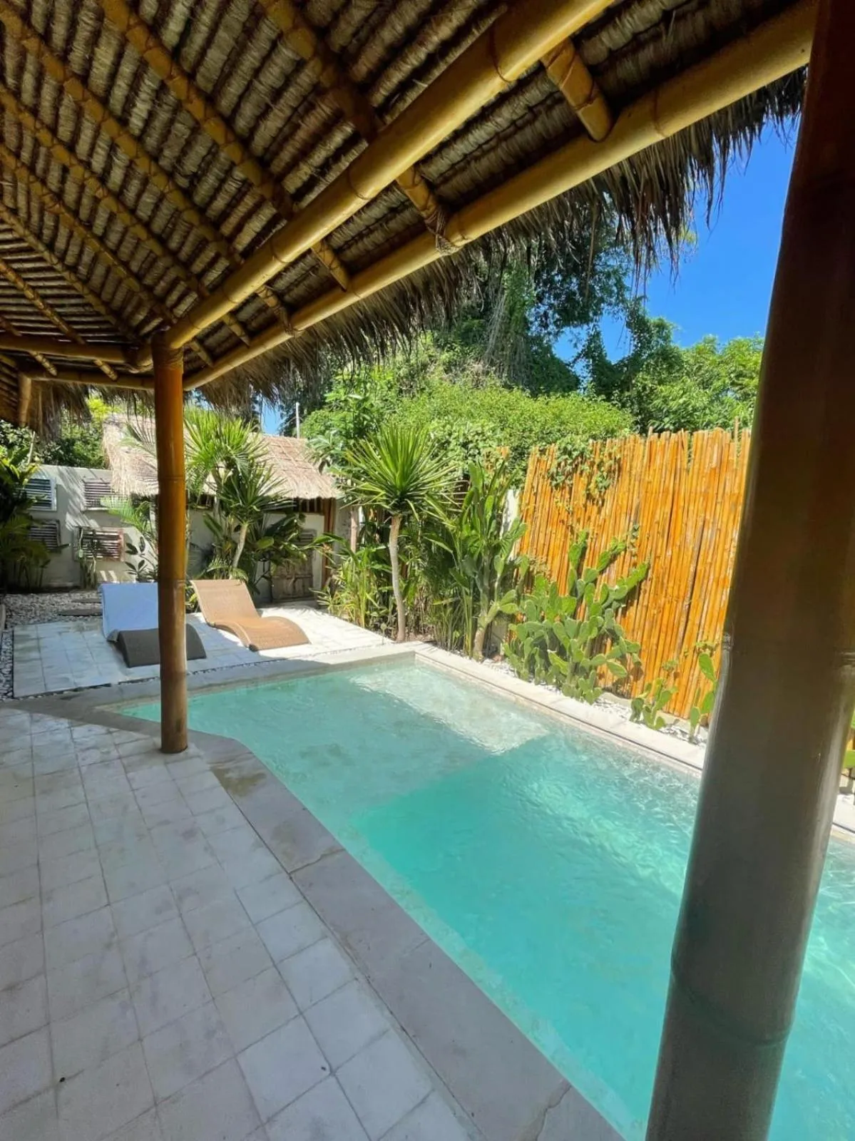 Tipsea Turtle Gili Air