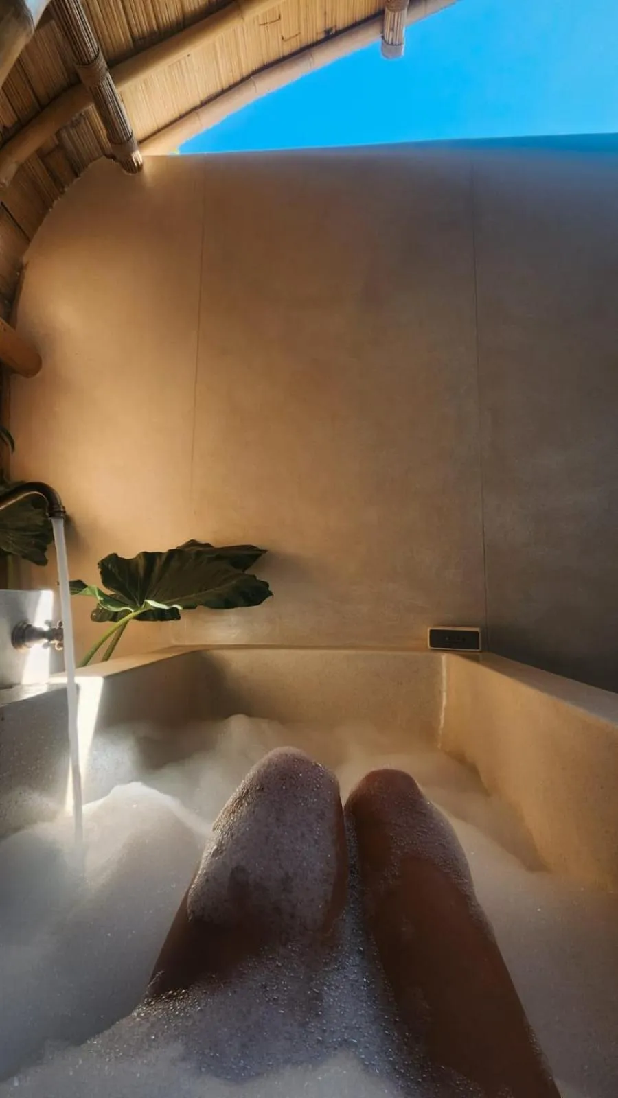 Tipsea Turtle Gili Air