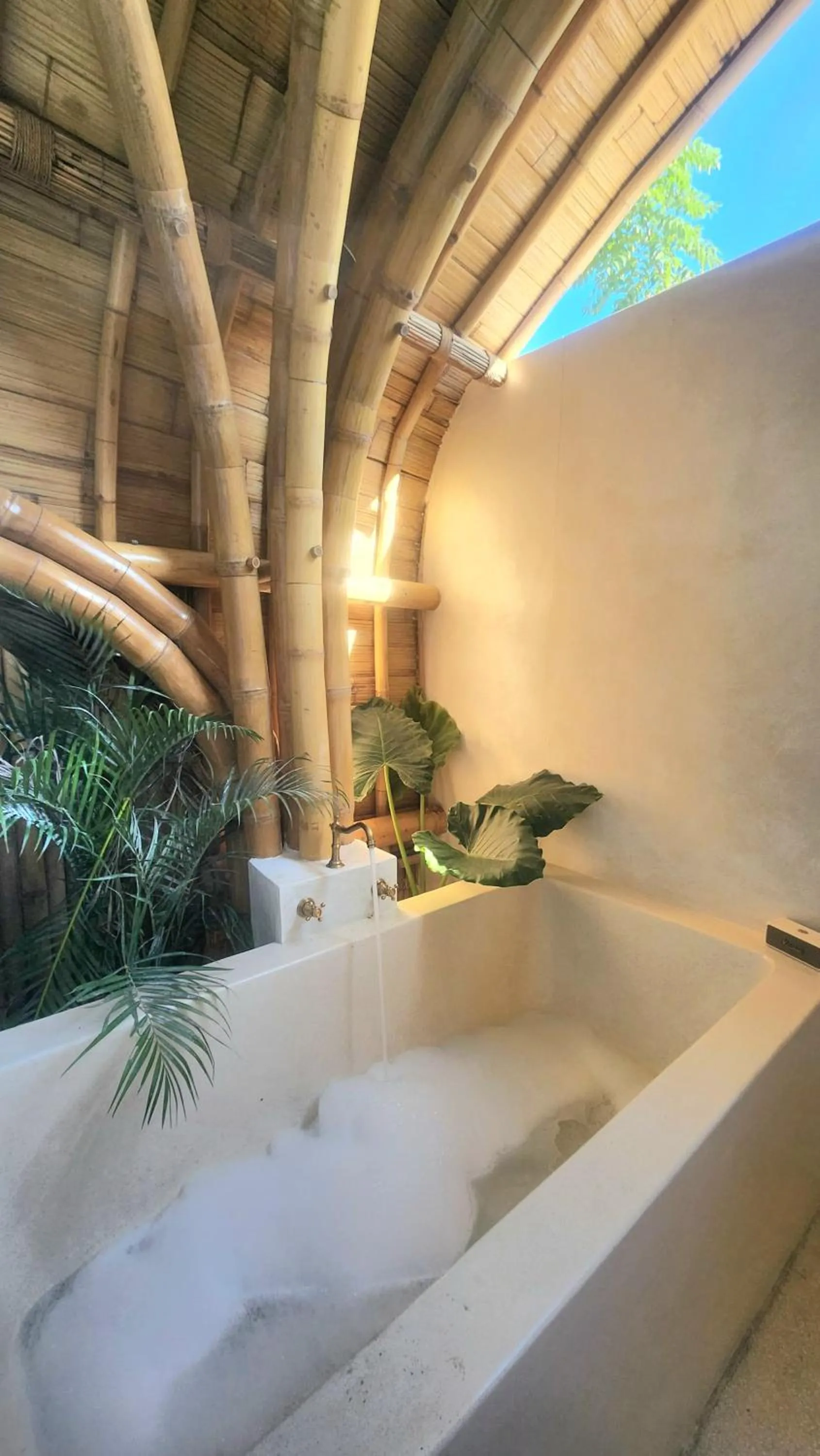 Tipsea Turtle Gili Air