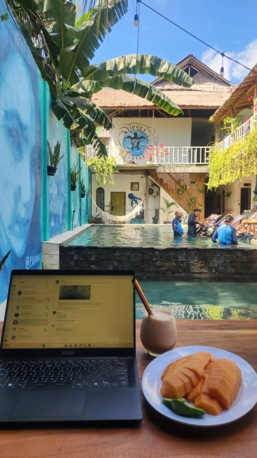 Tipsea Turtle Gili Air