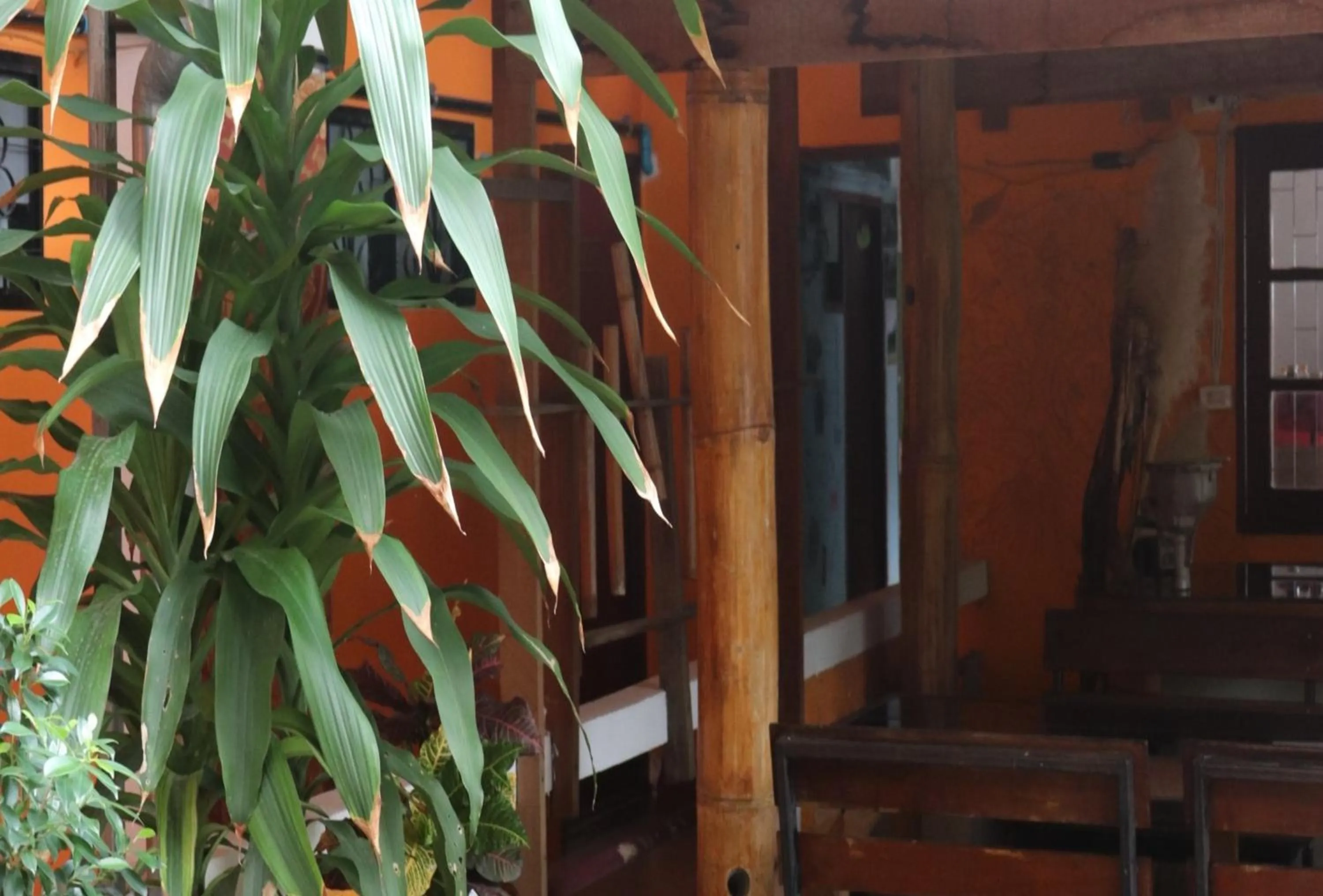 Other in Trekker Camp