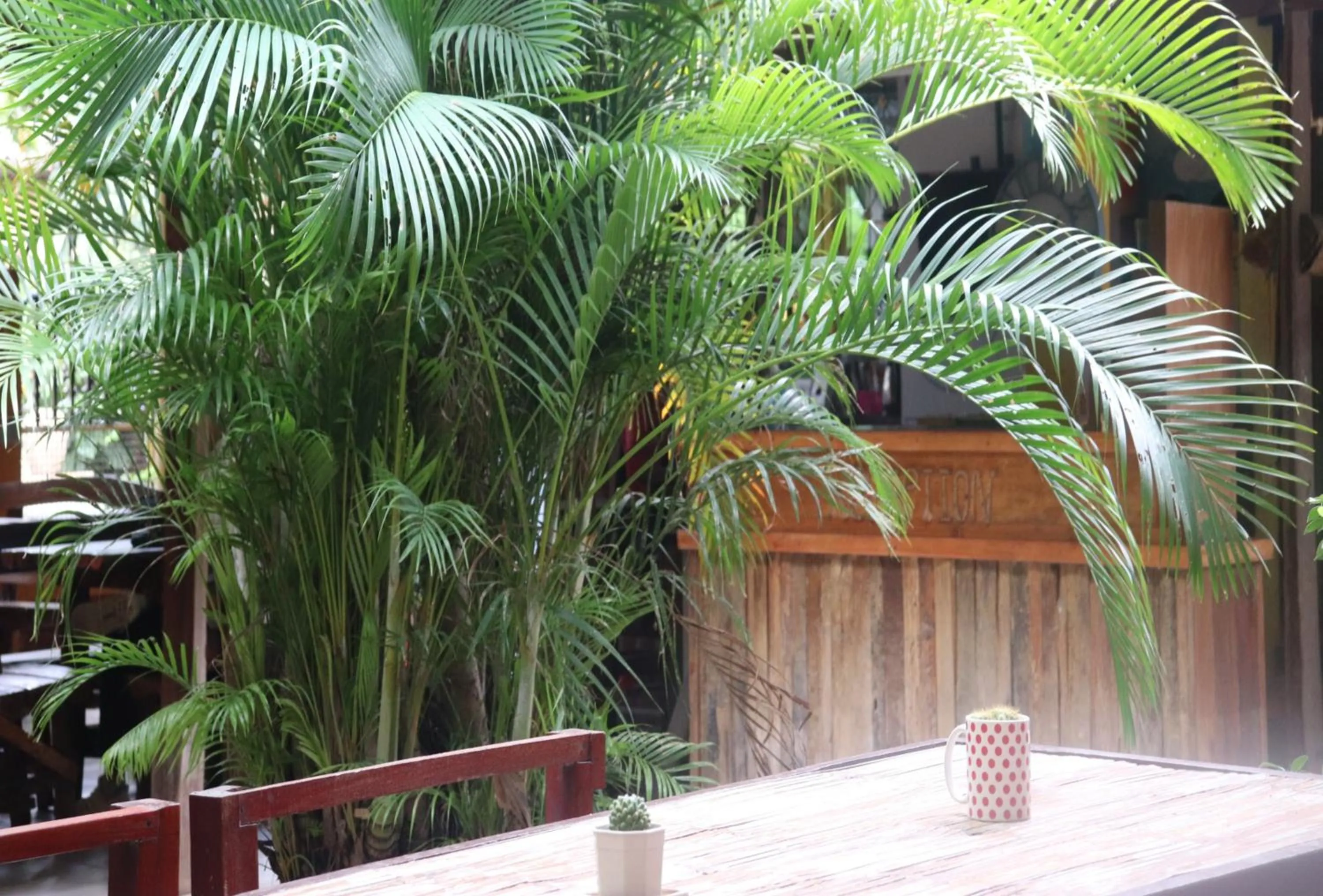 Other in Trekker Camp