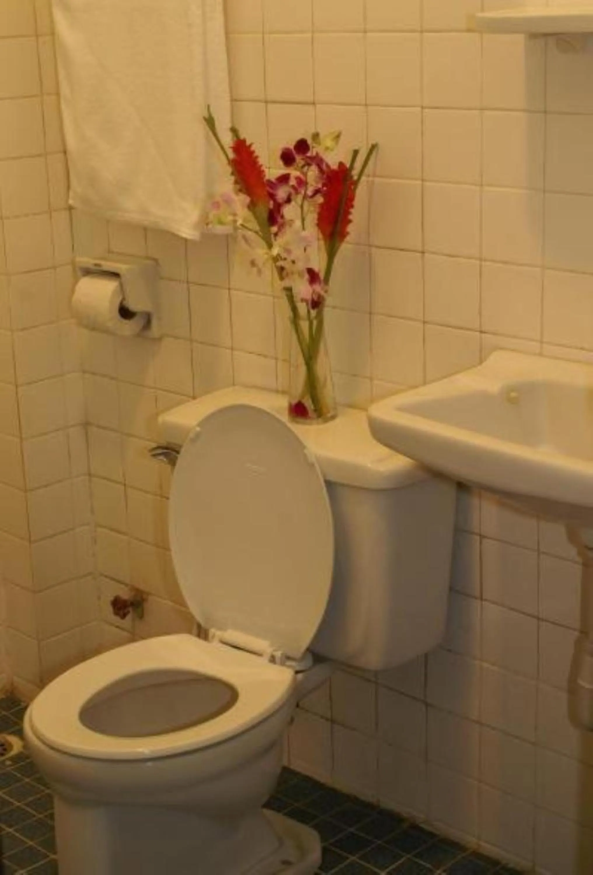 Toilet in Trekker Camp