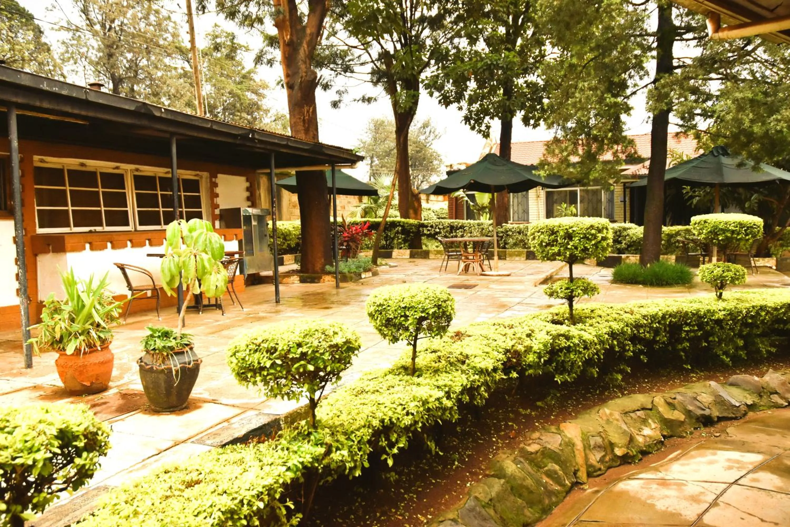 Garden in Wagon Wheel Hotel Eldoret
