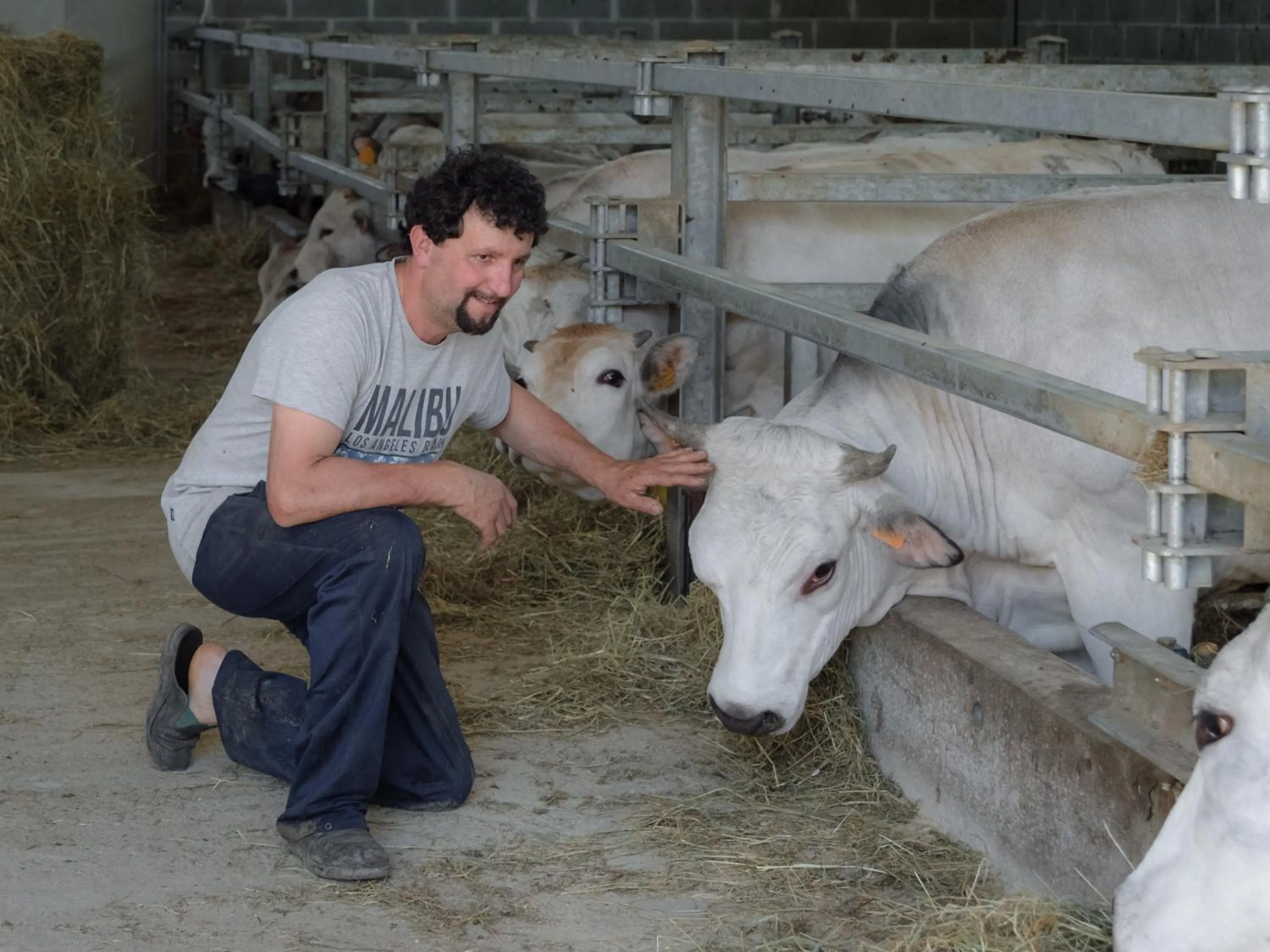 Staff in All'Ombra del Castello
