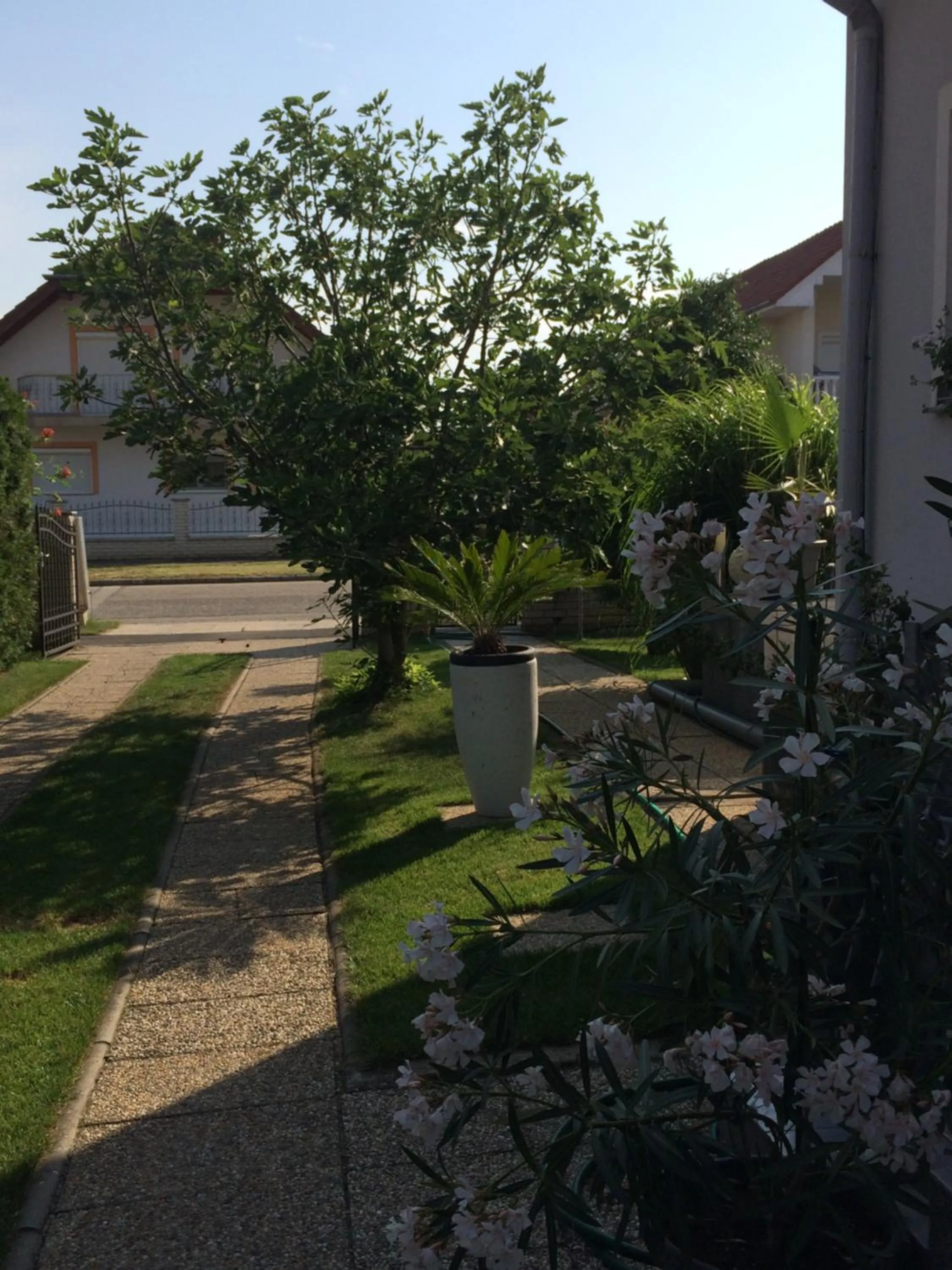 Garden in Judit Vendégház