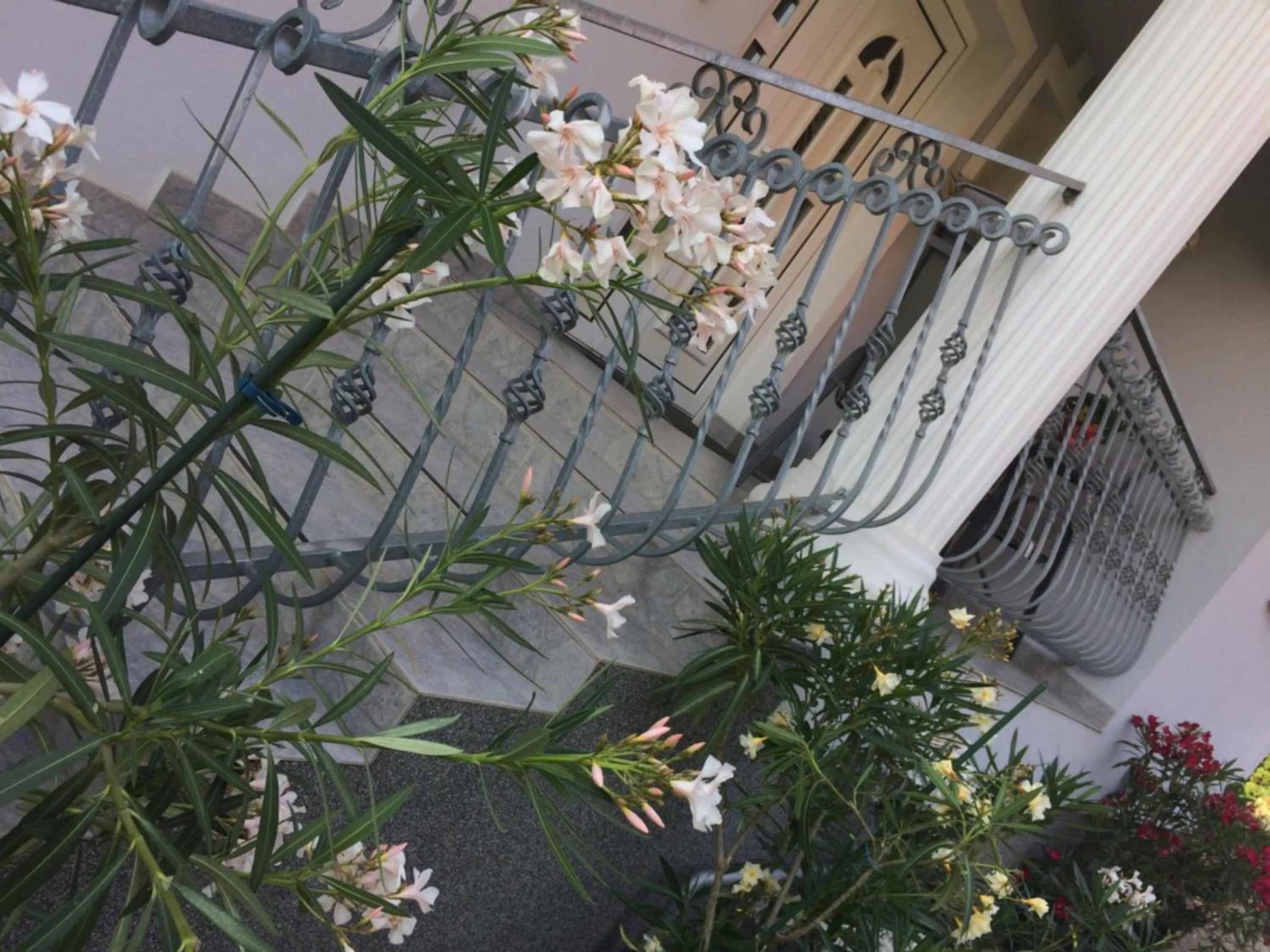 Facade/entrance in Judit Vendégház