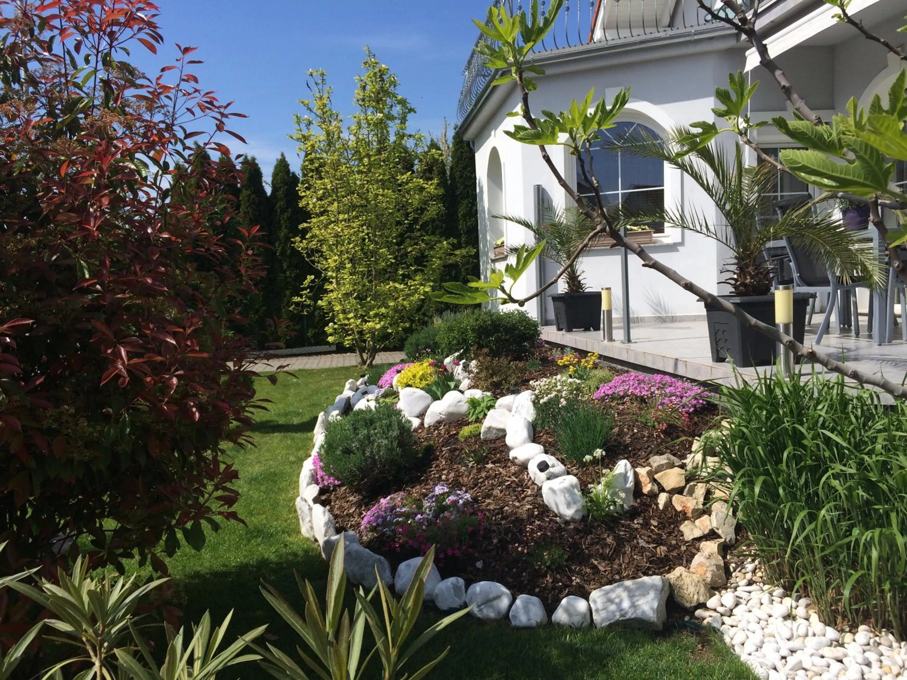Garden view in Judit Vendégház
