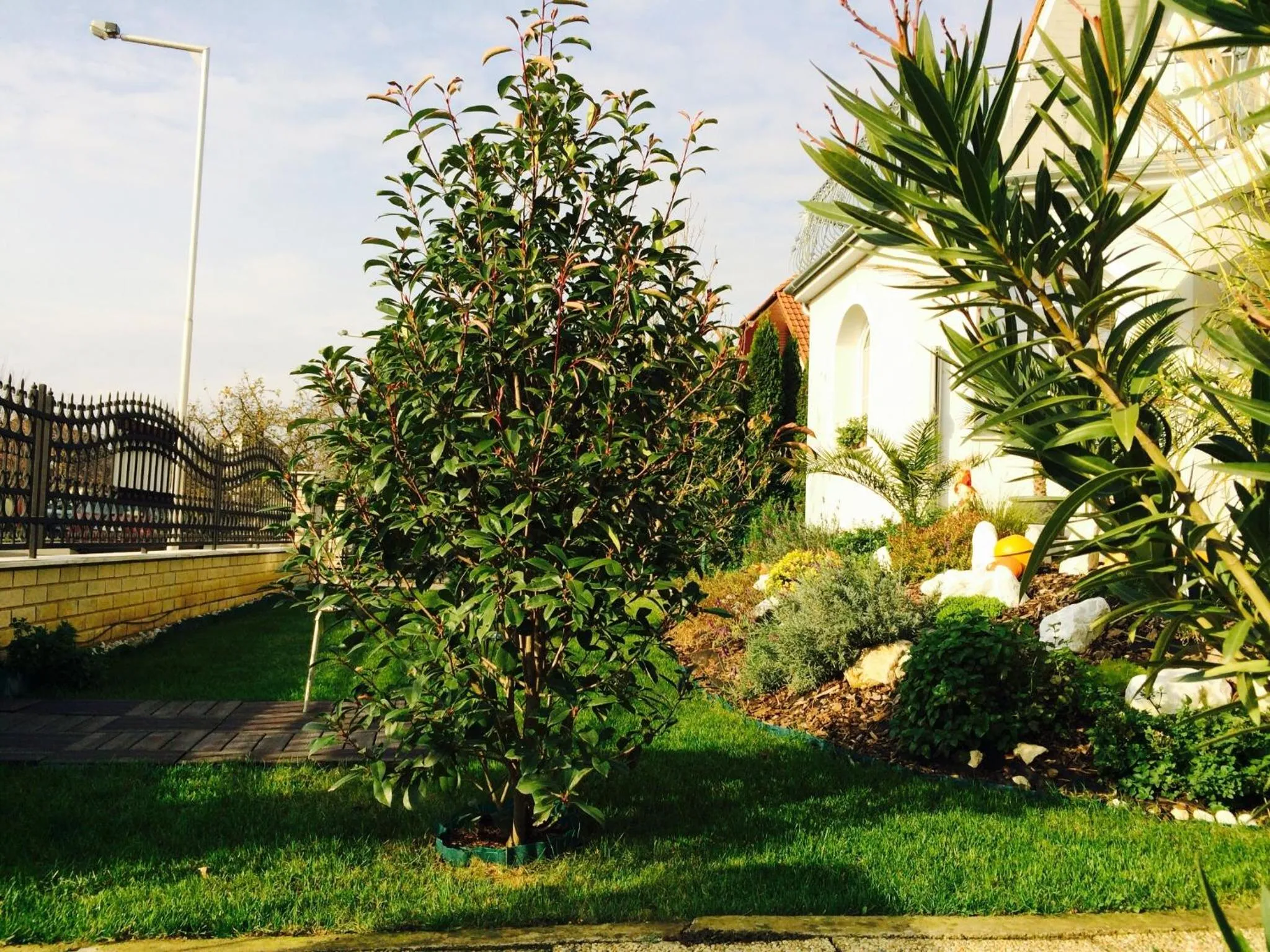 Garden in Judit Vendégház