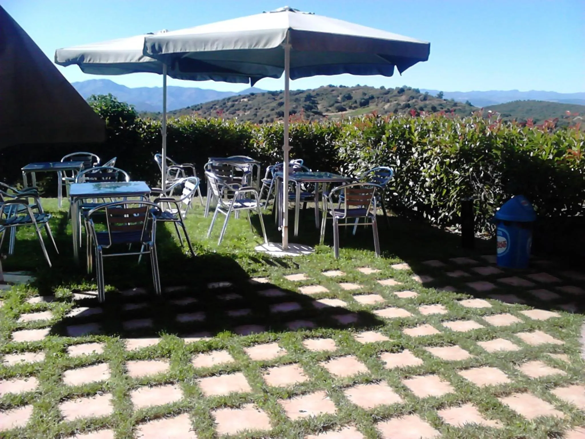 Garden in Hotel Medulio