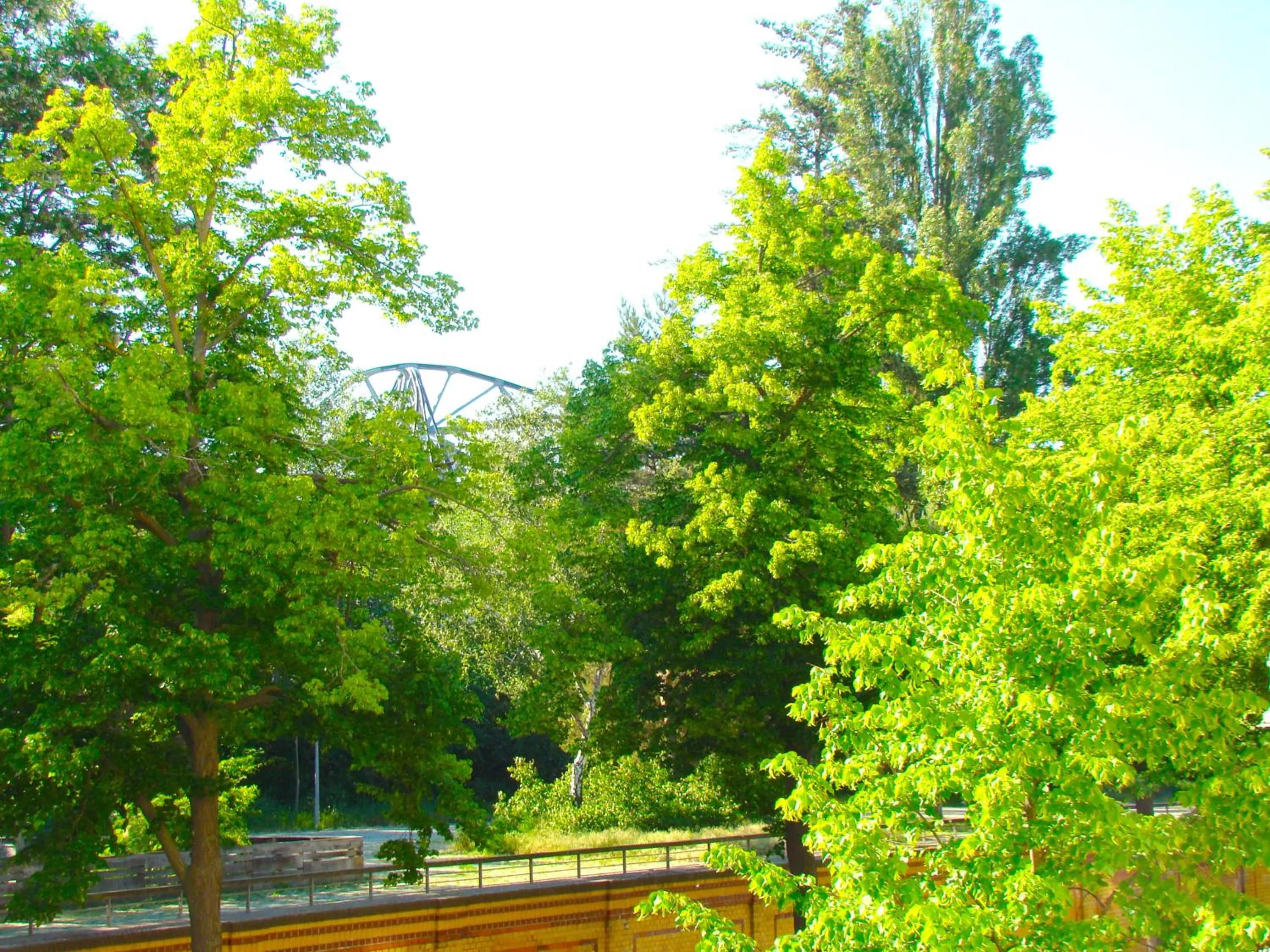 Natural landscape in BNB Potsdamer Platz - Rooms & Apartments