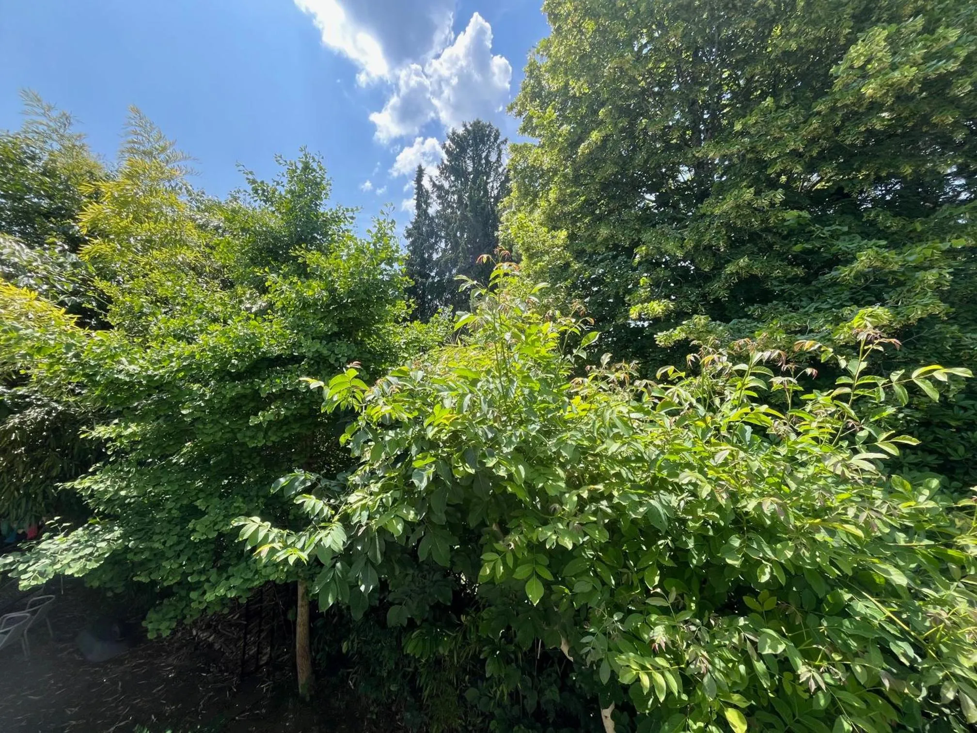 Spring in Bed and Breakfast Bavaria München